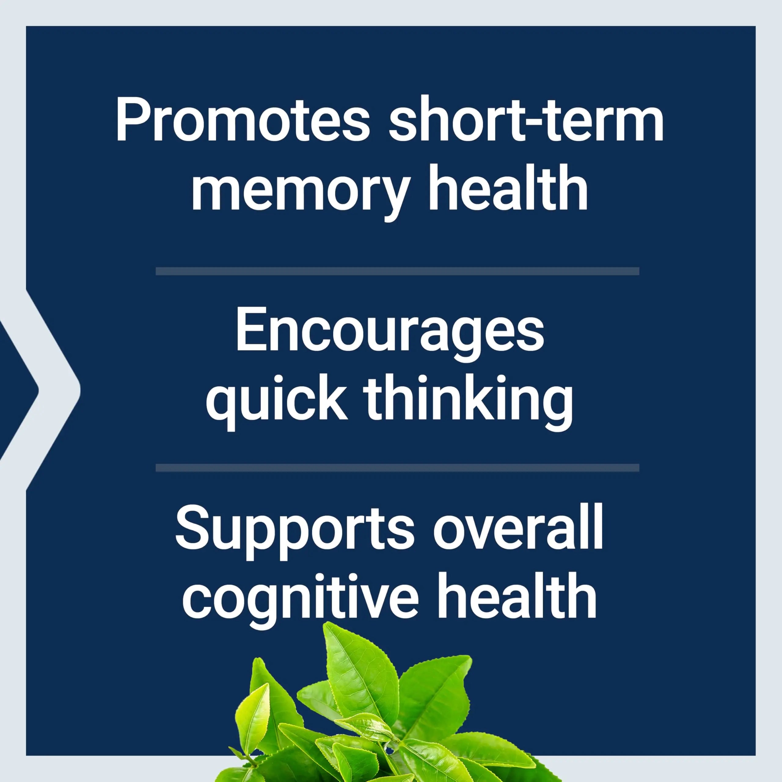 Life Extension Neuro-Mag Magnesium L-Threonate, Memory Health, Quick Thinking, Cognitive Health Support, Vegetarian, Non-GMO, 90 Vegetarian Capsules (144 mg from 2000 mg Magtein magnesium L-threonate Life Extension Au supplements