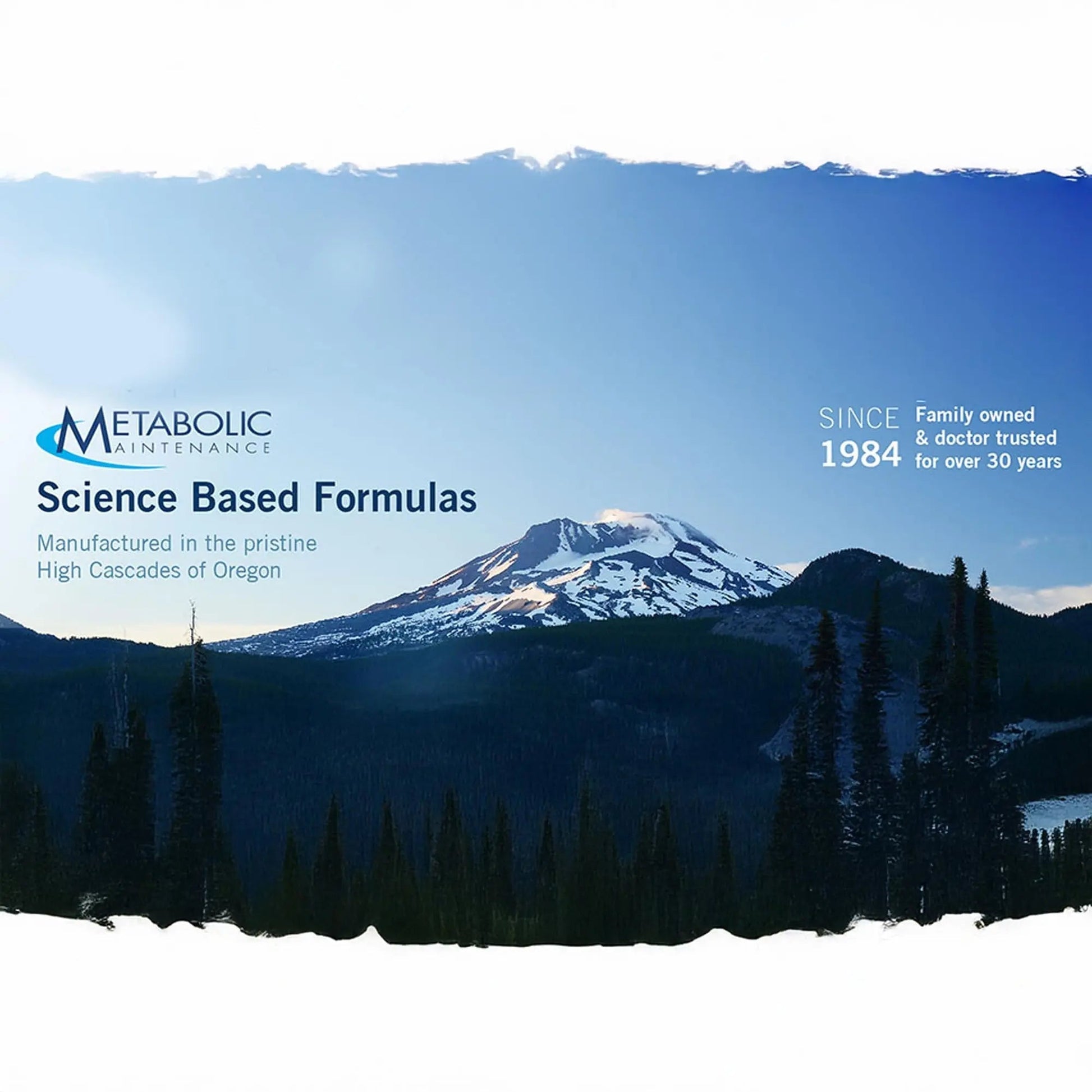Metabolic Maintenance FemOne - Women's Multivitamin with Bioavailable Iron, Active Folate, B12, Antioxidants, Vitamin D + Biotin Metabolic Maintenance Au supplements