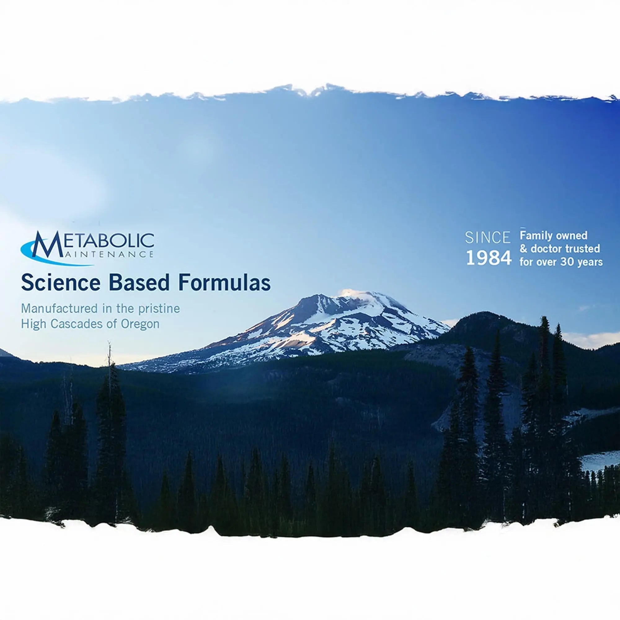 Metabolic Maintenance FemOne - Women's Multivitamin with Bioavailable Iron, Active Folate, B12, Antioxidants, Vitamin D + Biotin Metabolic Maintenance Au supplements