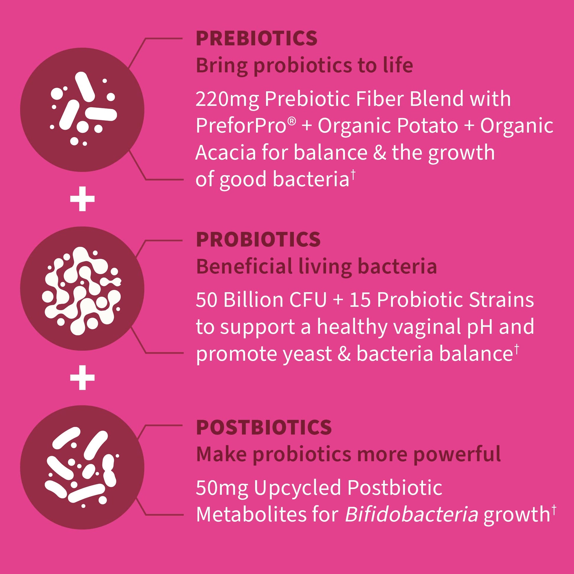Garden of Life Dr Formulated Once Daily 3-in-1 Complete Prebiotics, Postbiotics Garden of Life Au supplements