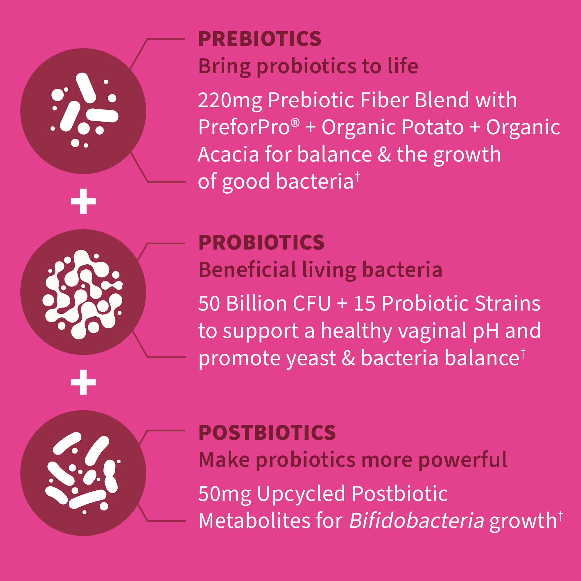 Garden of Life Dr Formulated Once Daily 3-in-1 Complete Prebiotics, Postbiotics Garden of Life Au supplements