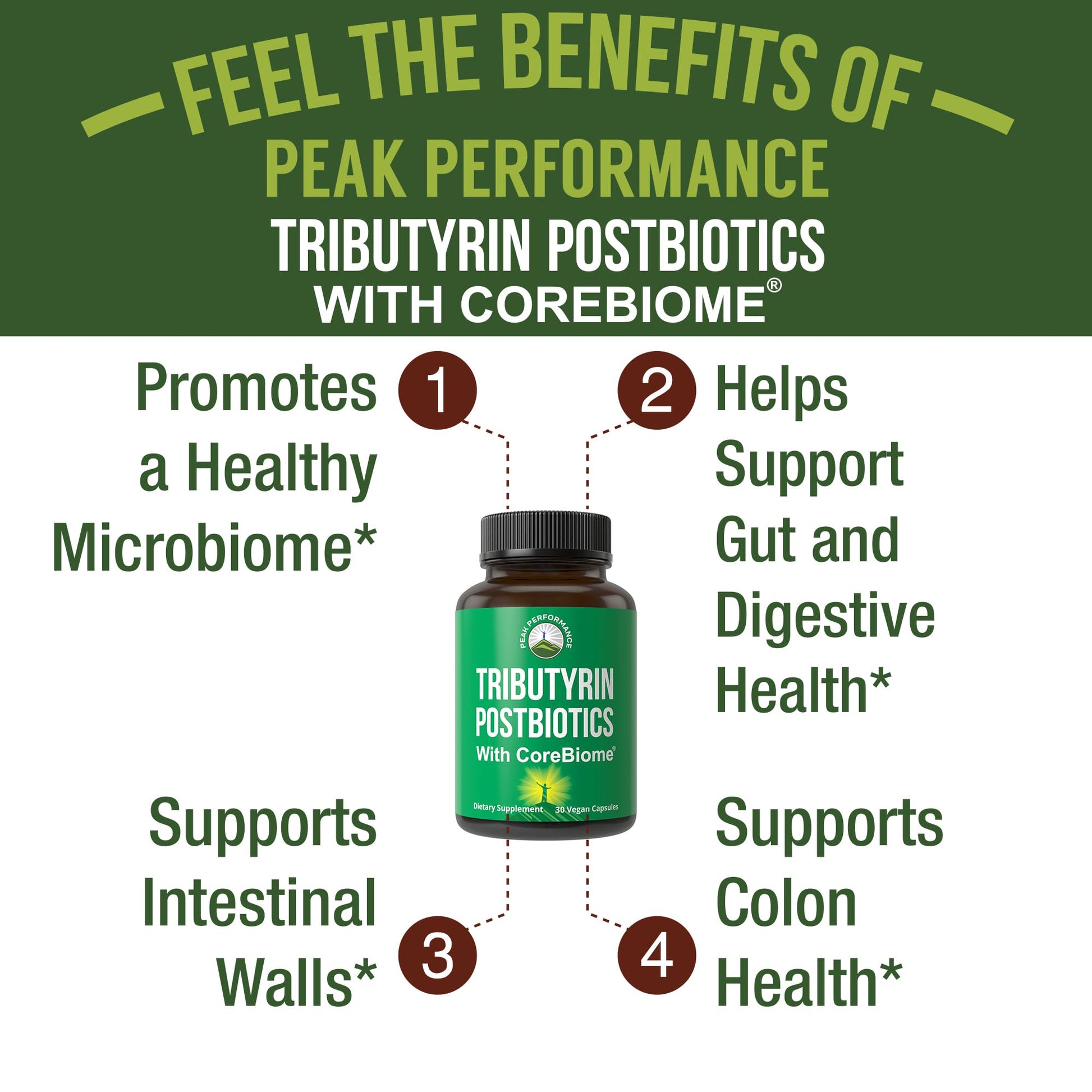 CoreBiome Tributyrin Postbiotic Supplement Clinically Tested for Gut Health. More Effective Than Sodium Butyrate Capsules. High Bioavailability Post Biotics for Digestive, Leaky Gut, Colon, Microbiome Peak Performance Au supplements