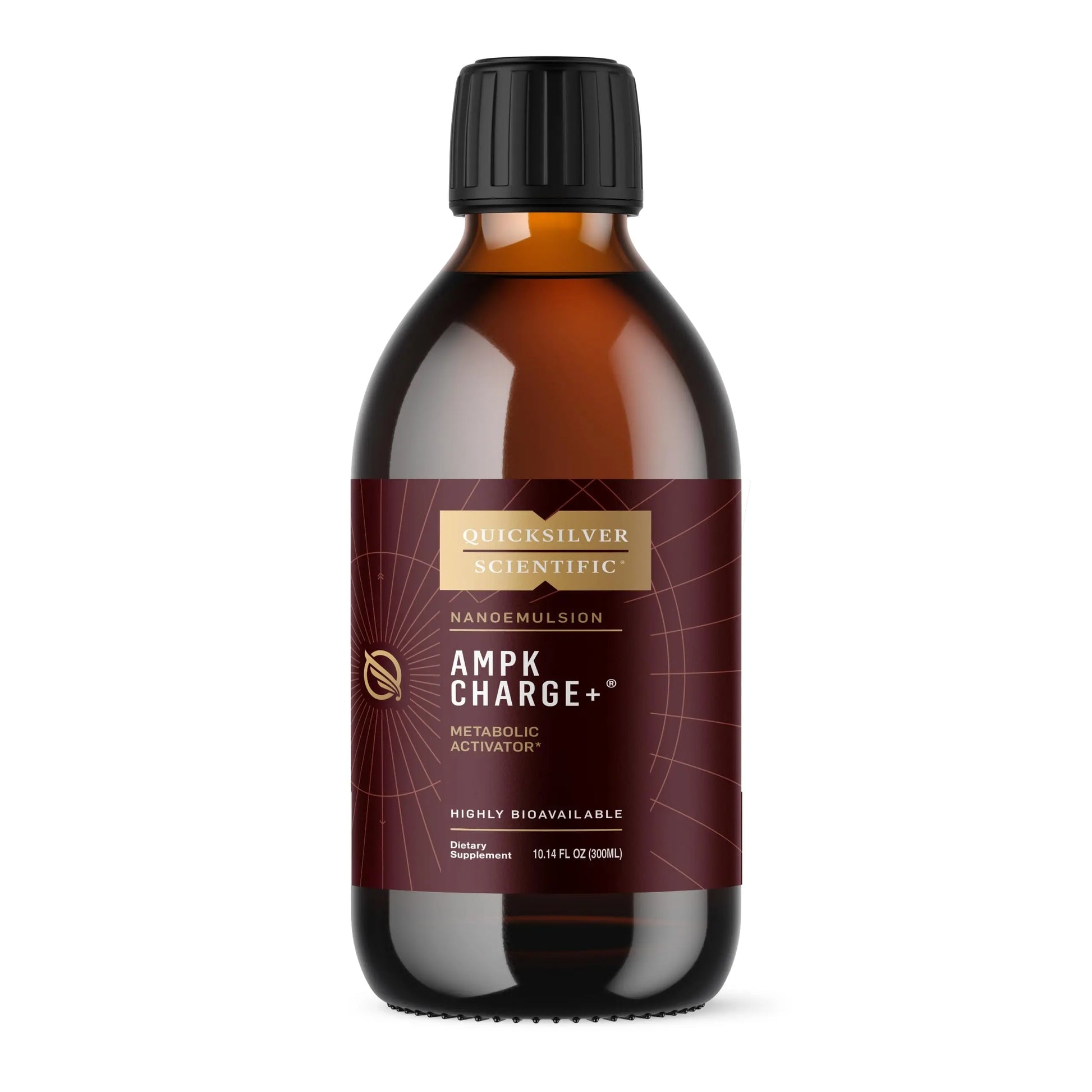 Quicksilver Scientific AMPK Charge+ - Support The Benefits of Intermittent Fasting, Carb Restrictive + Keto Protocols - Promotes Energy Production, Fat Breakdown + Healthy Aging (10.14oz / 300ml) Quicksilver Scientific Au supplements
