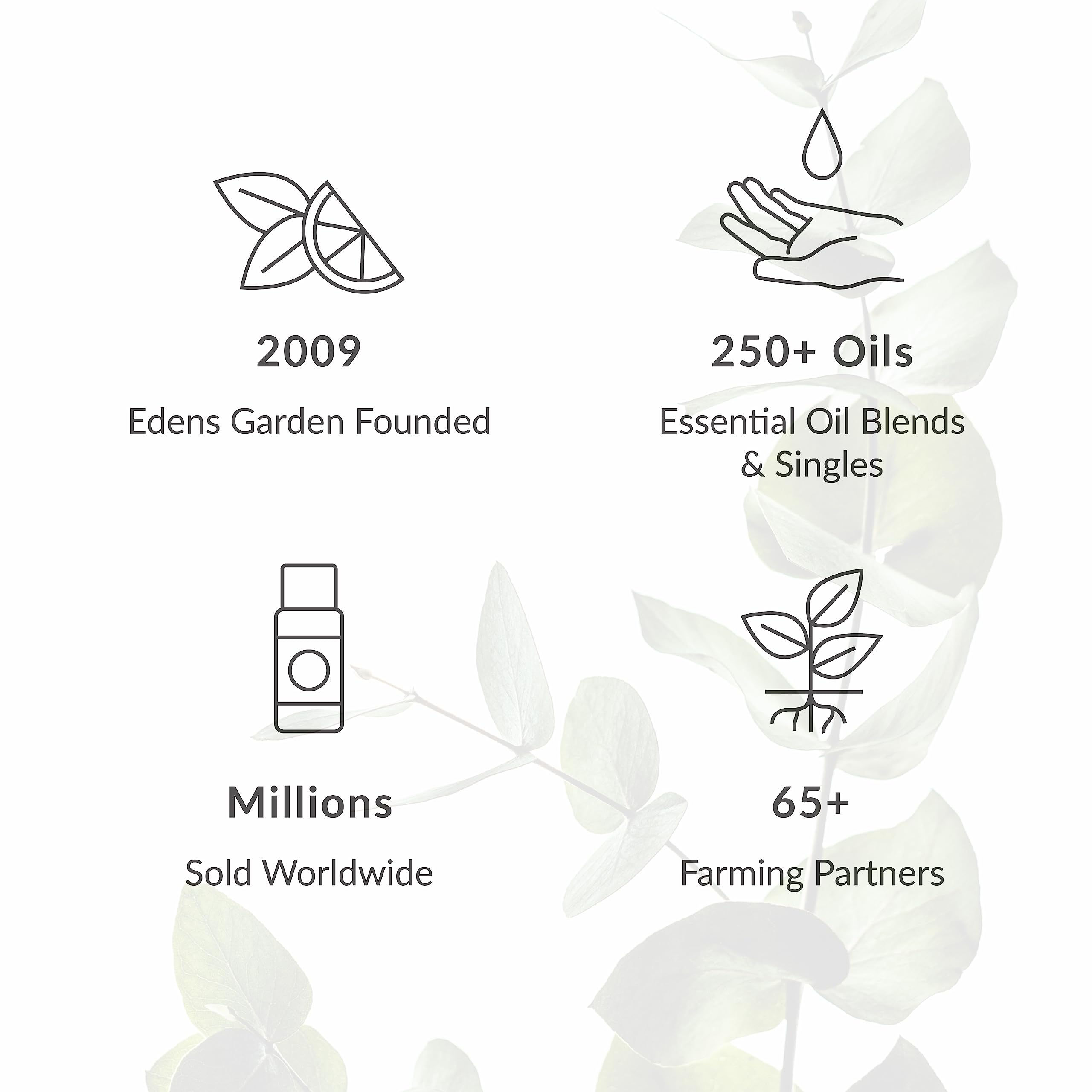 Edens Garden Digest Ease Essential Oil Synergy Blend, 100% Pure Therapeutic Grade Edens Garden Au supplements