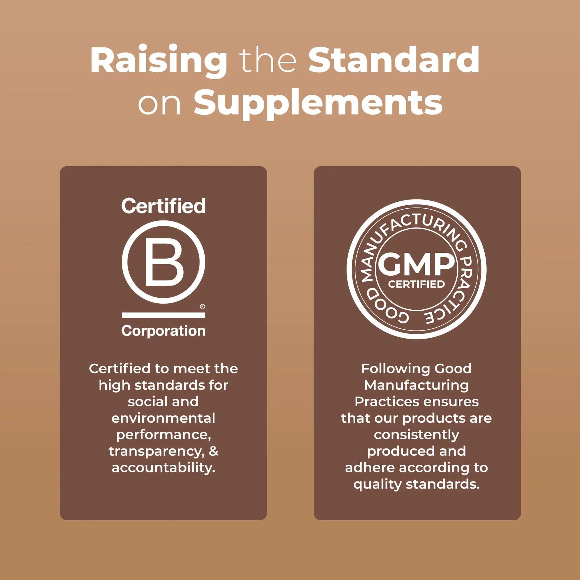 MaryRuth's Mushroom Complex | Lion's Mane | Turkey Tail | Reishi Mushroom | Shiitake Mushrooms | Alcohol Free | Mushroom Blend | Organic | Non-GMO | Vegan | 30 Servings MARYRUTH'S Au supplements