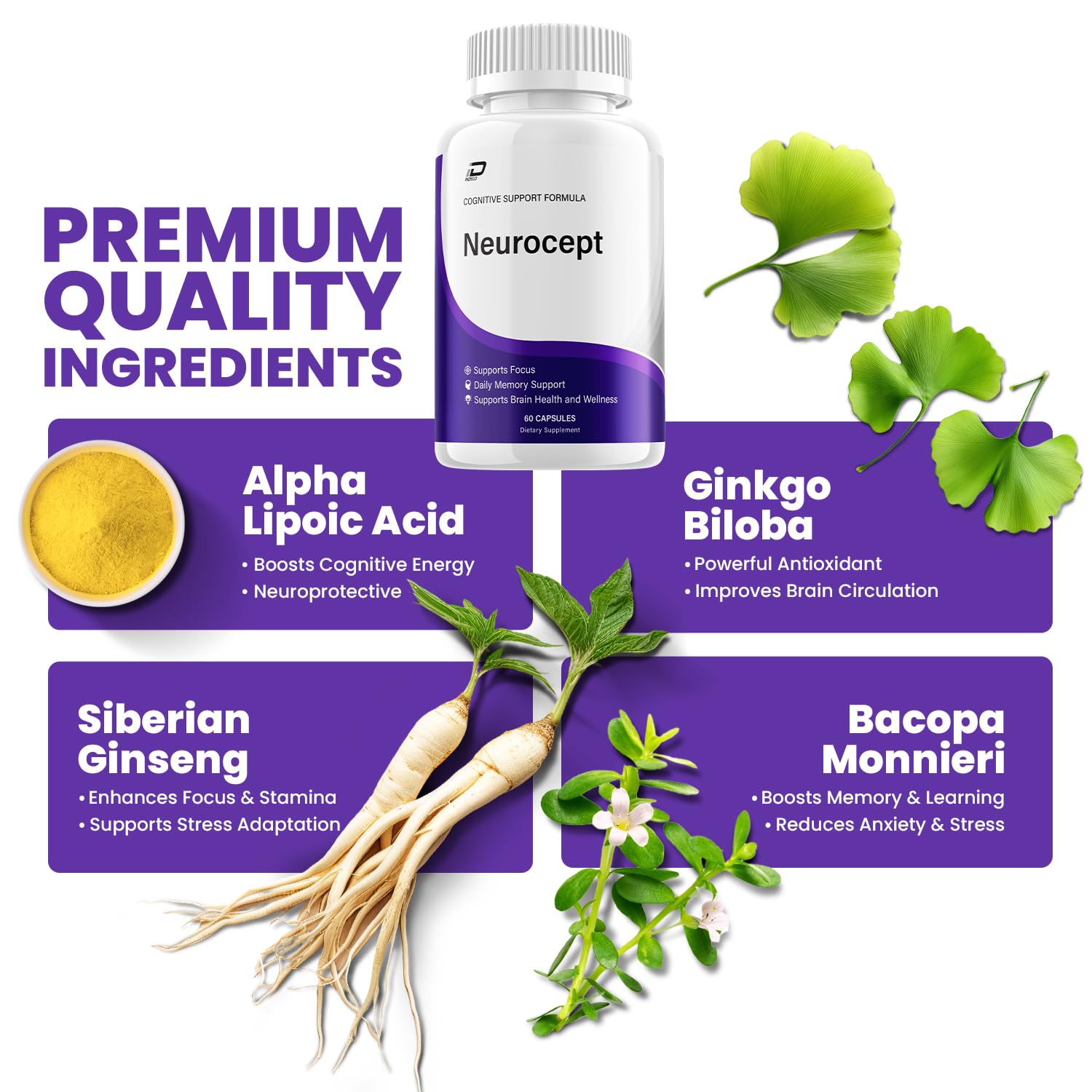 Neurocept Supplement Capsules – All Natural Maximum Strength Formula, Focus & Memory Support (60 Capsules) Indelo Au supplements