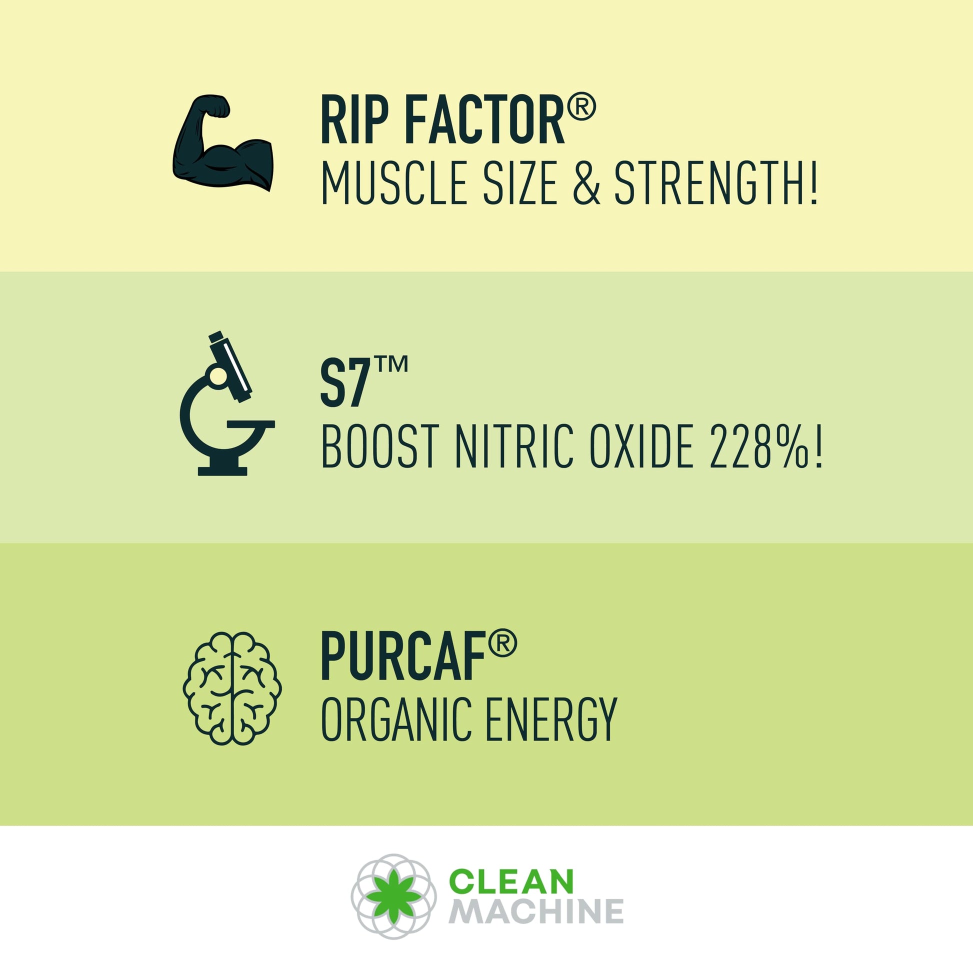 CLEAN MACHINE N10s - Plant Based Vegan Preworkout Powder - 3 Clinically Tested CLEAN MACHINE Au supplements