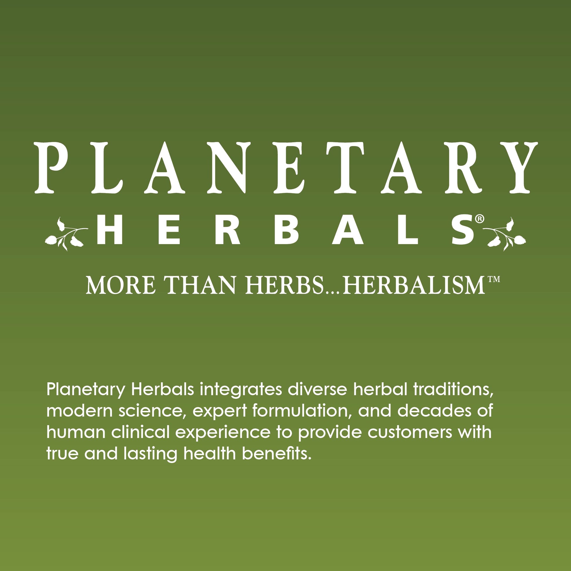 Planetary Herbals Positive Teens & Kids 435mg, Supports Emotional Well-Being,120 Tablets Planetary Herbals Au supplements