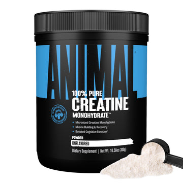 Animal Creatine Monohydrate Powder – Micronized Creatine for Women and Men, Supports Muscle Growth, Strength, Endurance, Recovery and ATP Production, Gym & Workout Supplements - Unflavored, 300g Animal Au supplements