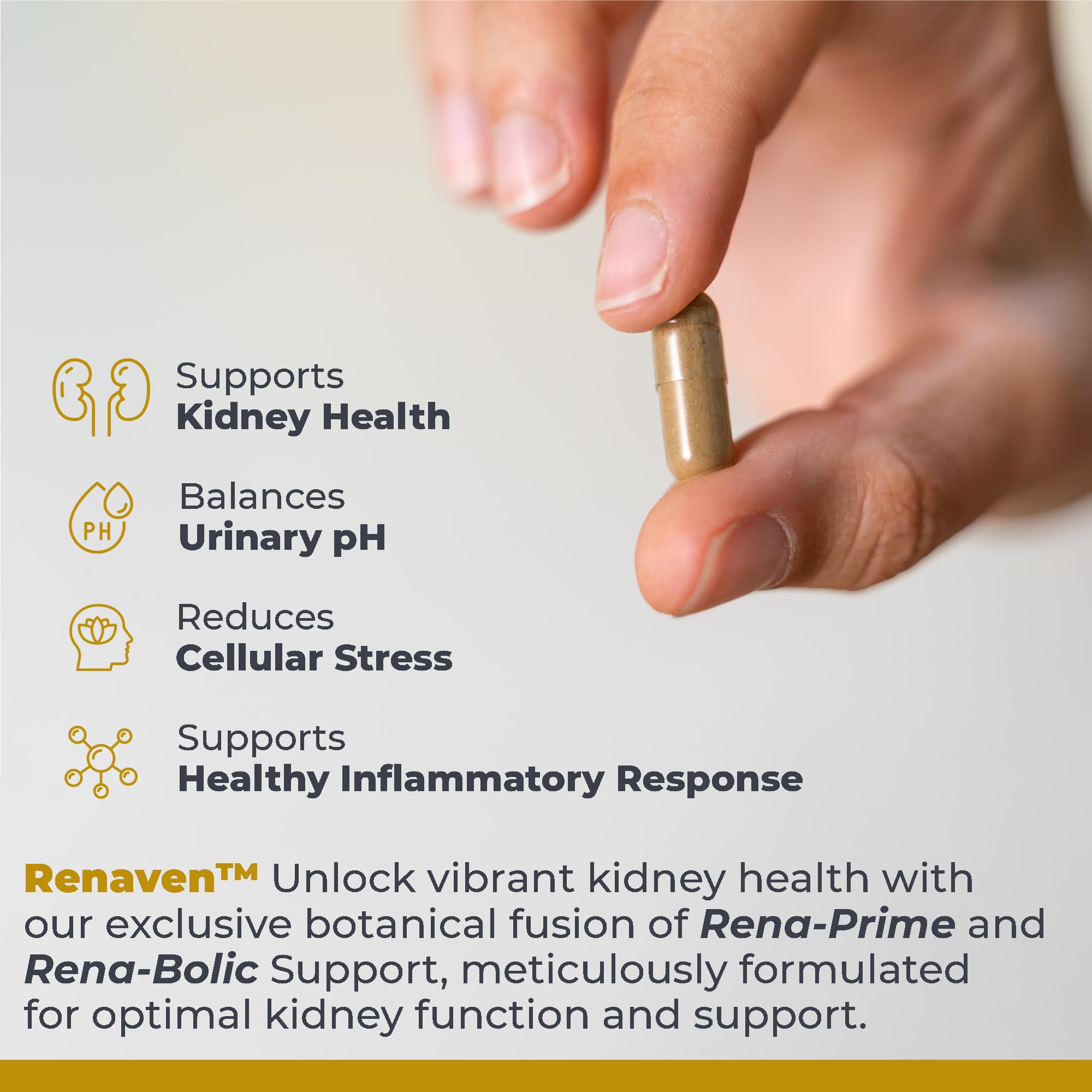 Premier Research Labs RenaVen - Premier Kidney Support for Kidney Cleanse Detox and Repair | Improve Kidney Function and Urinary Support with Fermented Cordyceps - 60 Plant-Source Capsules Premier Research Labs Au supplements