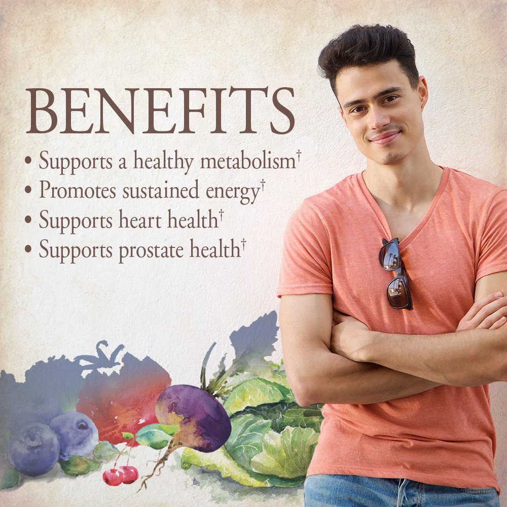 Garden of Life Organics Whole Food Multivitamin for Men, 120 Tablets, Vegan Mens Vitamins and Minerals for Health and Well-Being, Certified Organic Vegan Multi Garden of Life Au supplements