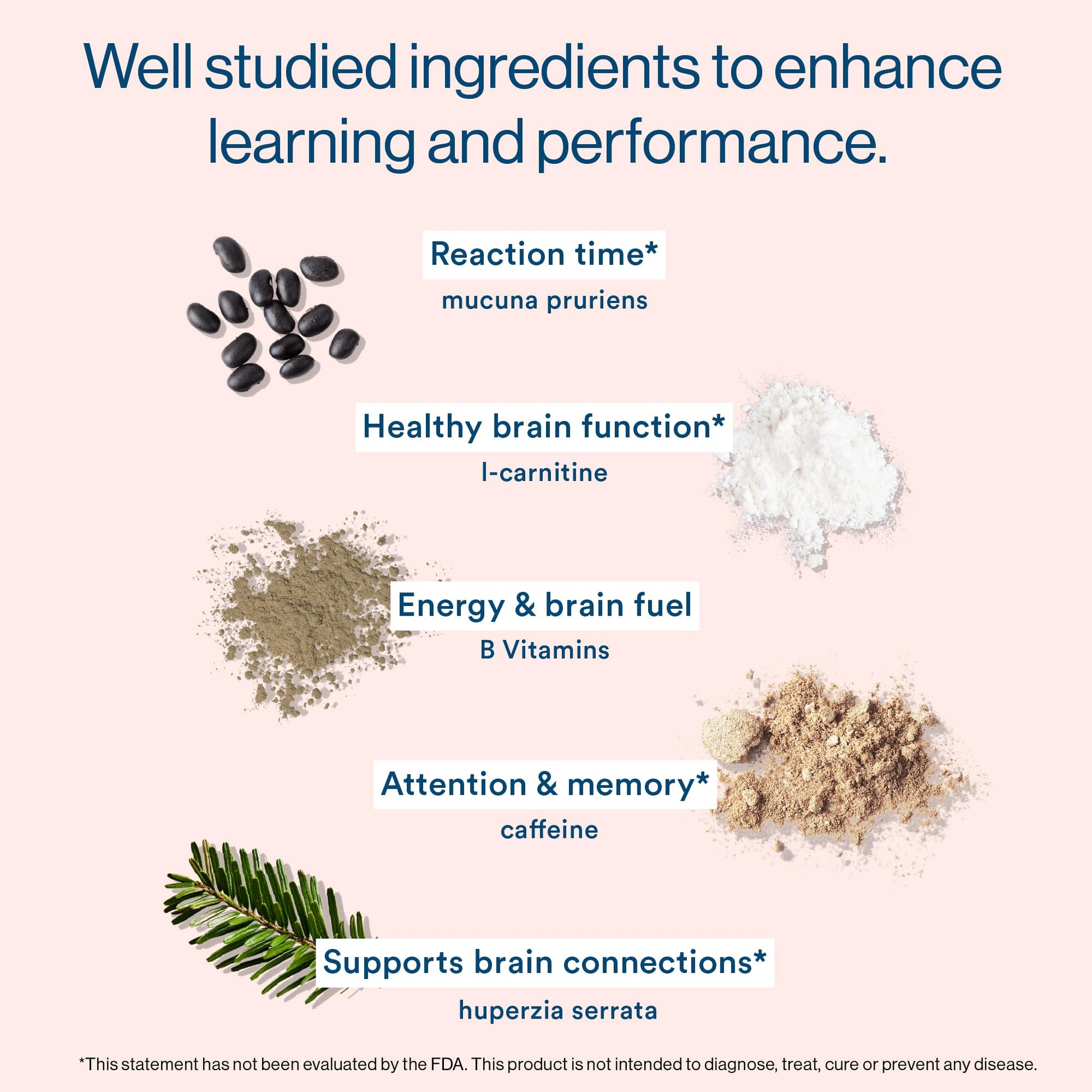 More Labs Liquid Focus, Nootropic Smart Drink with Powerful Antioxidants & Adaptogenic Herbs for Energy and Concentration, 150mg Caffeine (Pack of 12) More Labs Au supplements