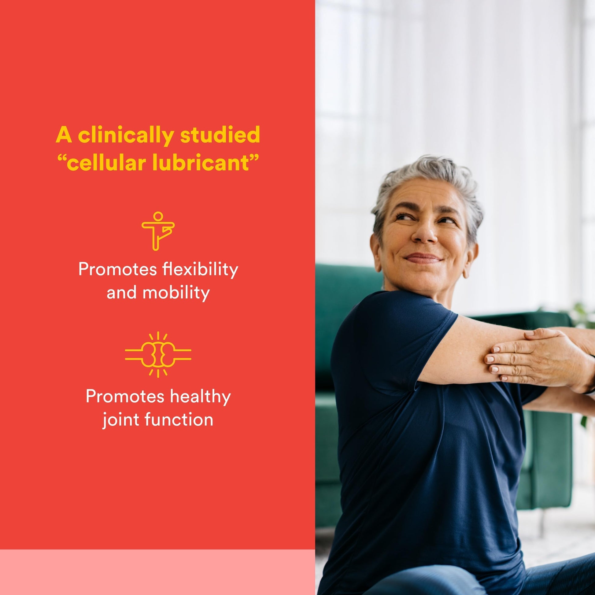Natural Factors, Celadrin Joint Health, Promotes Flexibility, Mobility and Joint Function, 90 Softgels Natural Factors Au supplements