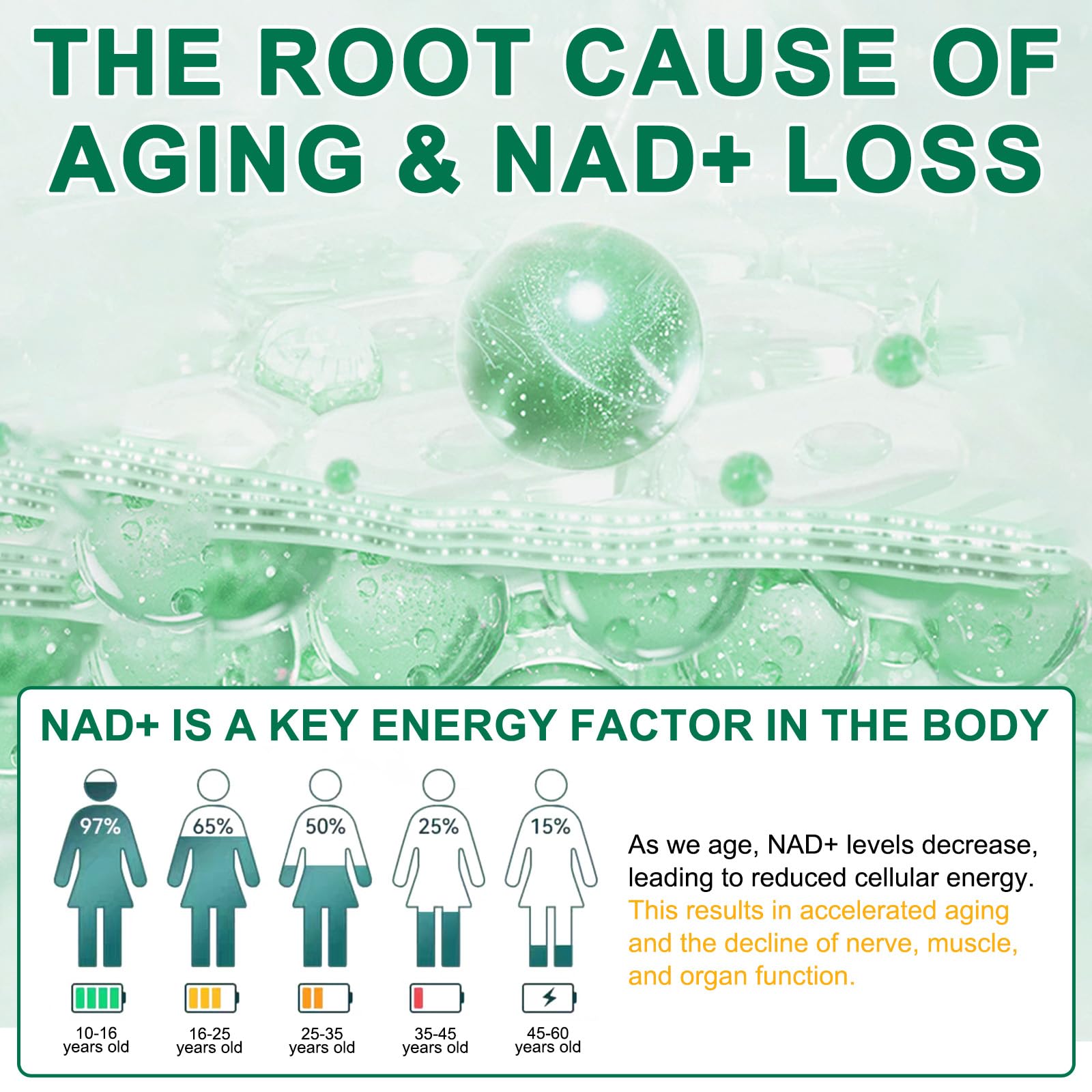 NAD Supplement 120 Capsules, Liposomal Nicotinamide Riboside, Resveratrol, Quercetin, NAD Nicotinamide Riboside Resveratrol 910mg for Women & Men, NAD Supplement for Anti Aging and Cell Regeneration RHBESTOK Au supplements