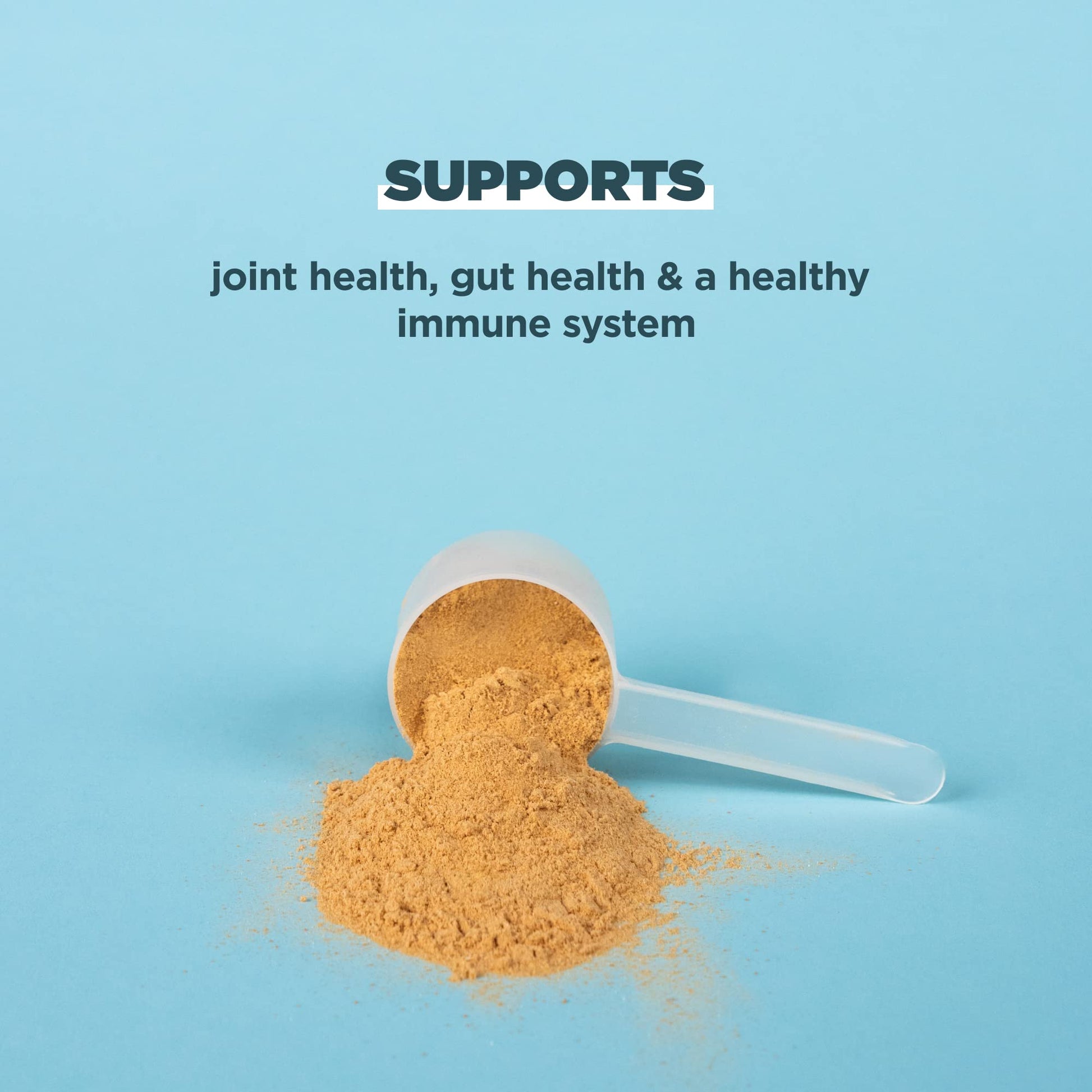 Ancient Nutrition Bone Broth Protein Powder, Salted Caramel, 19g Protein per Serving Ancient Nutrition Au supplements