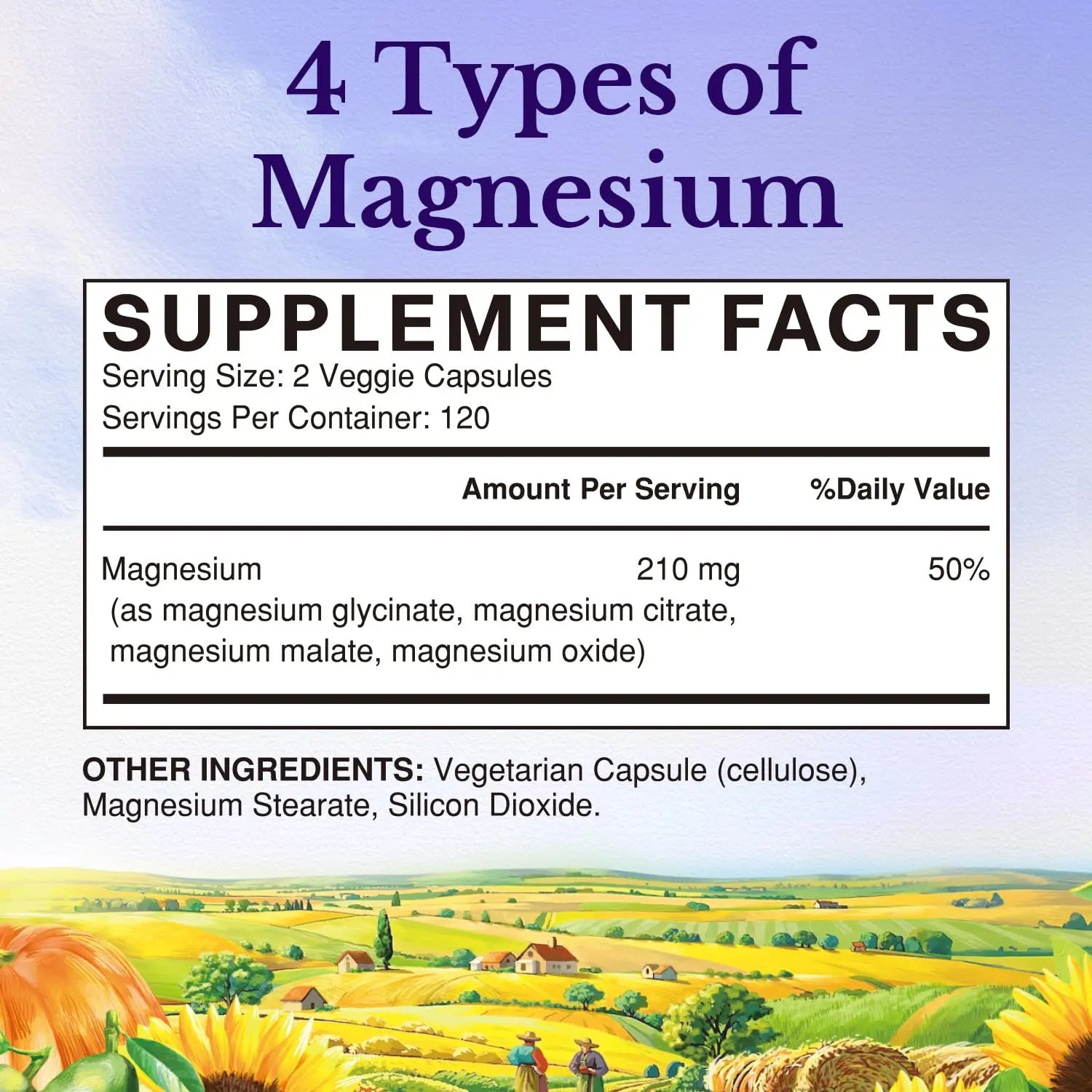 Vitalitown Magnesium Complex | Chelated Easily Absorbed Magnesium Glycinate Citrate Malate | Buffered | 210mg Elemental Mag | Sleep, Nerve, Digestion, Energy | Non-GMO 240 Veg Caps Vitalitown Au supplements