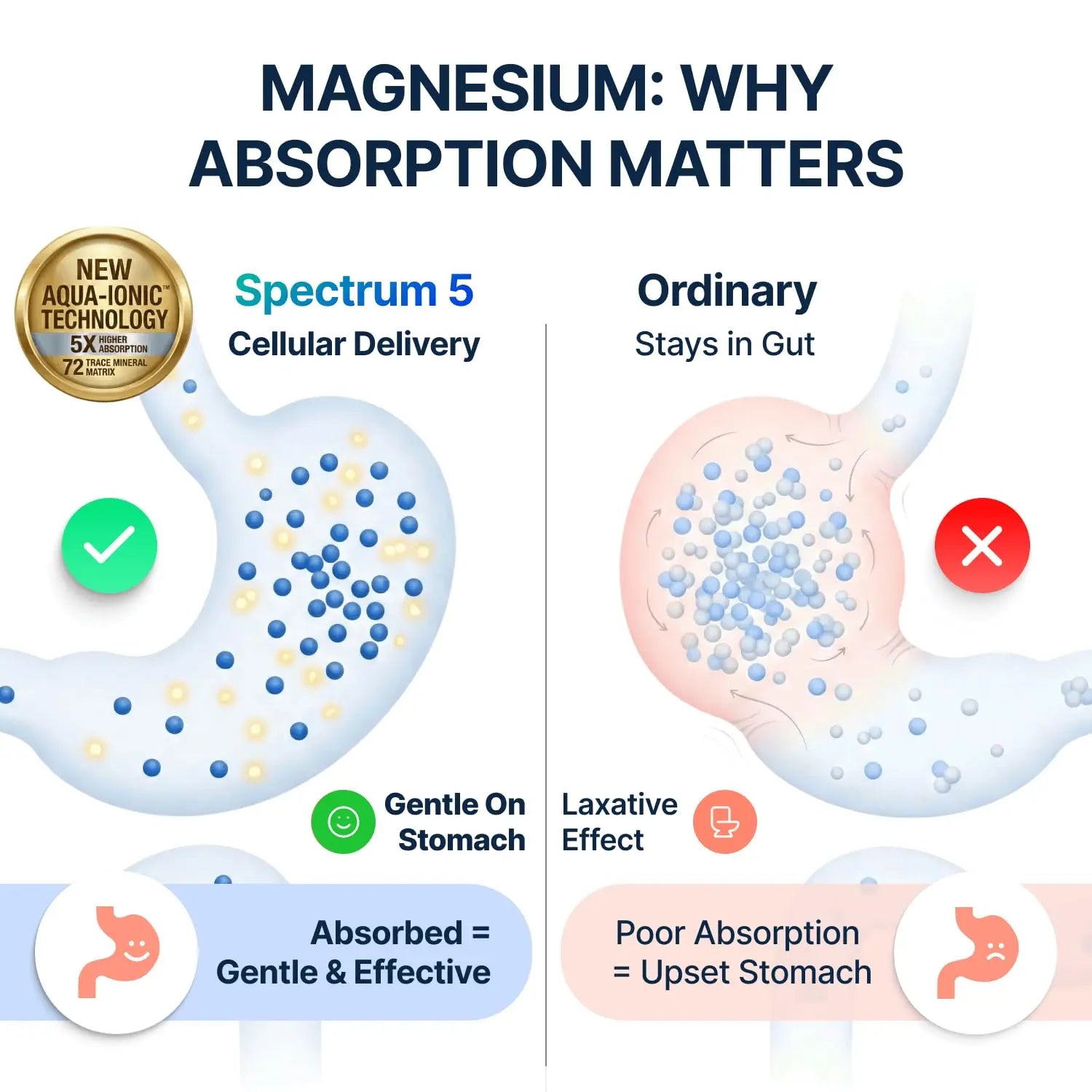 Spectrum 5 Magnesium | 5-in-1 Complex + 72 Trace Minerals for Enhanced Absorption | Irish Sea Sourced | 500mg per Serving | Made in USA, Third Party Tested, GMP Certified SonoHealth Au supplements
