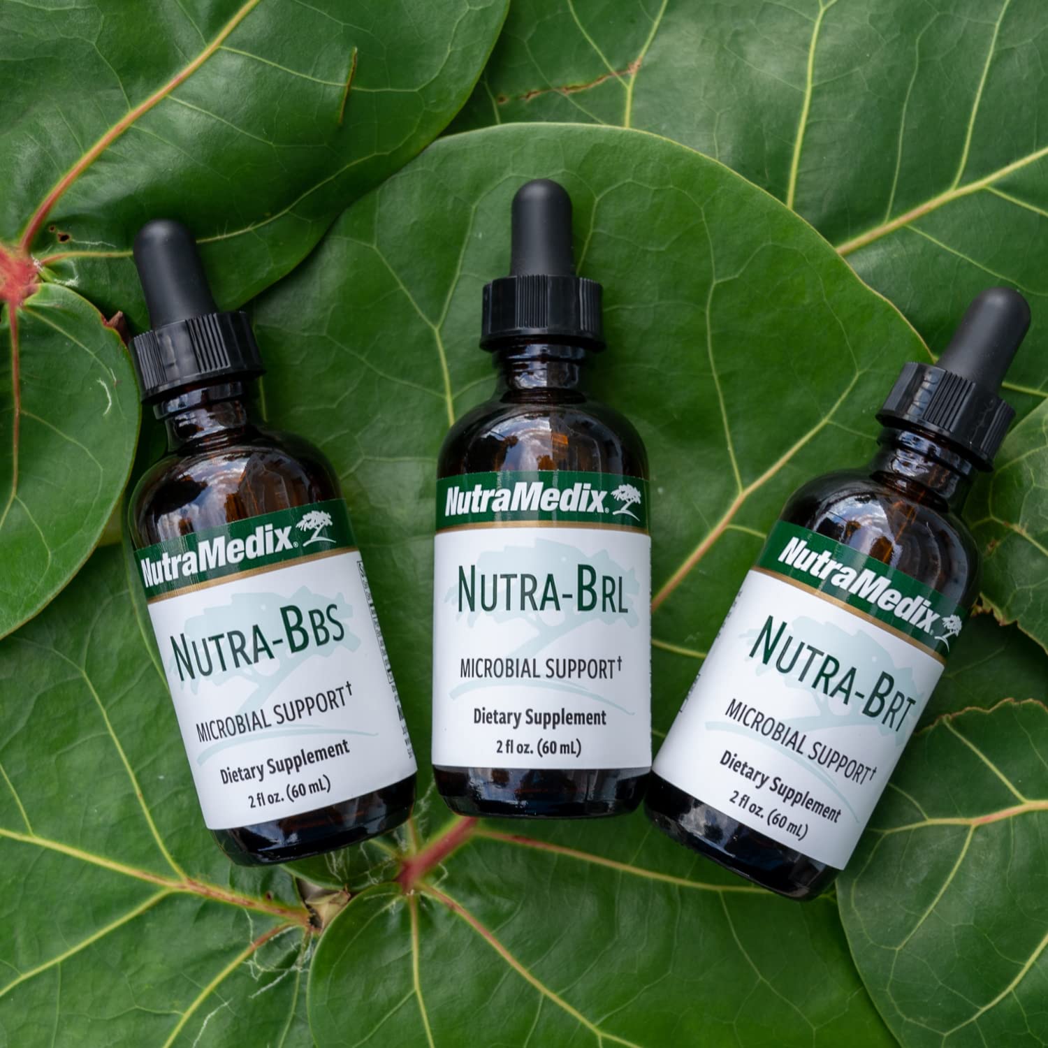 Nutramedix Nutra BRT - Liquid Herbal Supplement for Gut Health & Immune Support - Cumanda Bark & Houttuynia Leaf for Digestive Health - Immune System Booster Supplement (60mL) NutraMedix Au supplements
