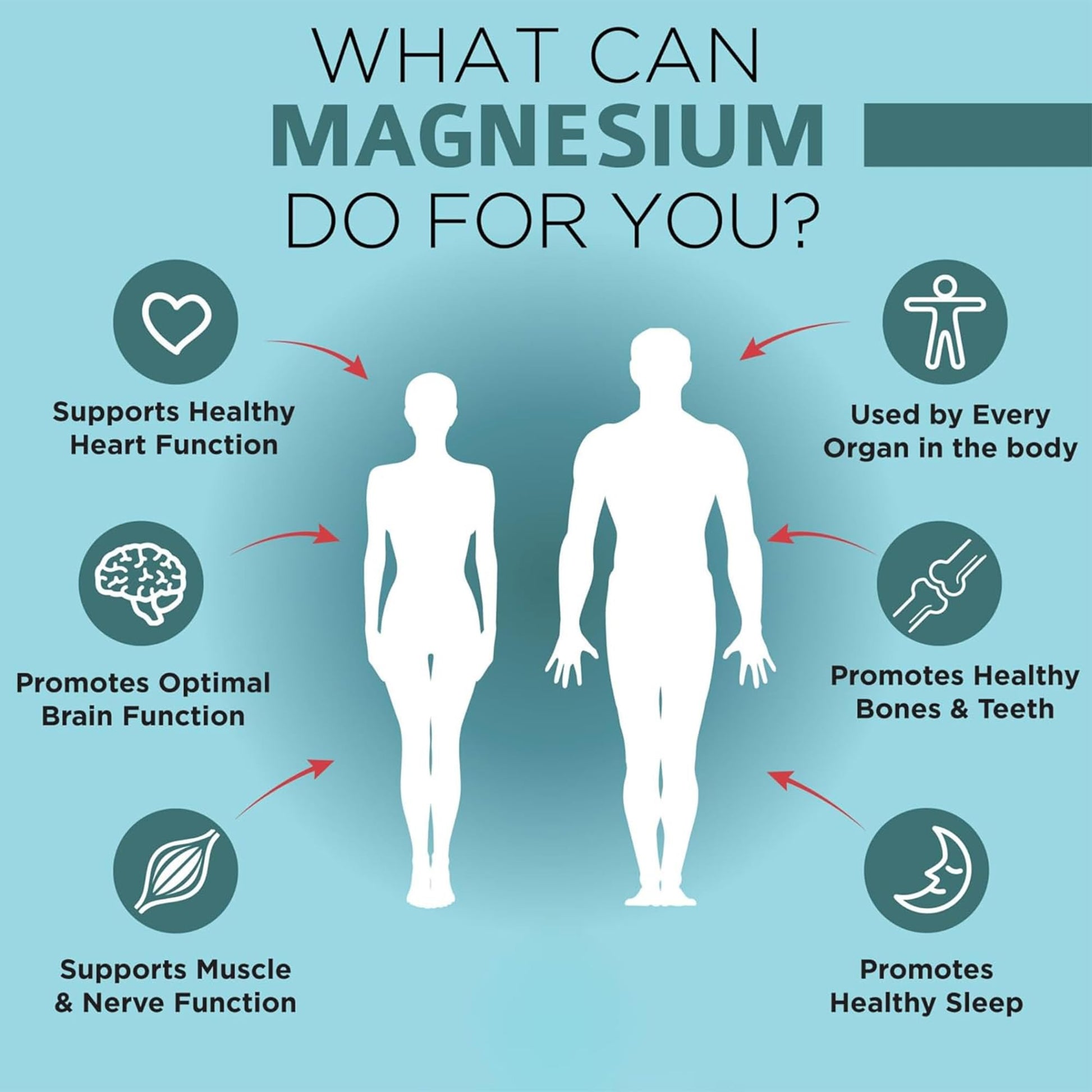 OmniBiotics Magnesium Glycinate Supplement – with 100% Pure Albion TRAACS Bisglycinate Chelate for Sleep, Muscle, Nerve & Heart Health – 120 Vegan Capsules OmniBiotics Au supplements