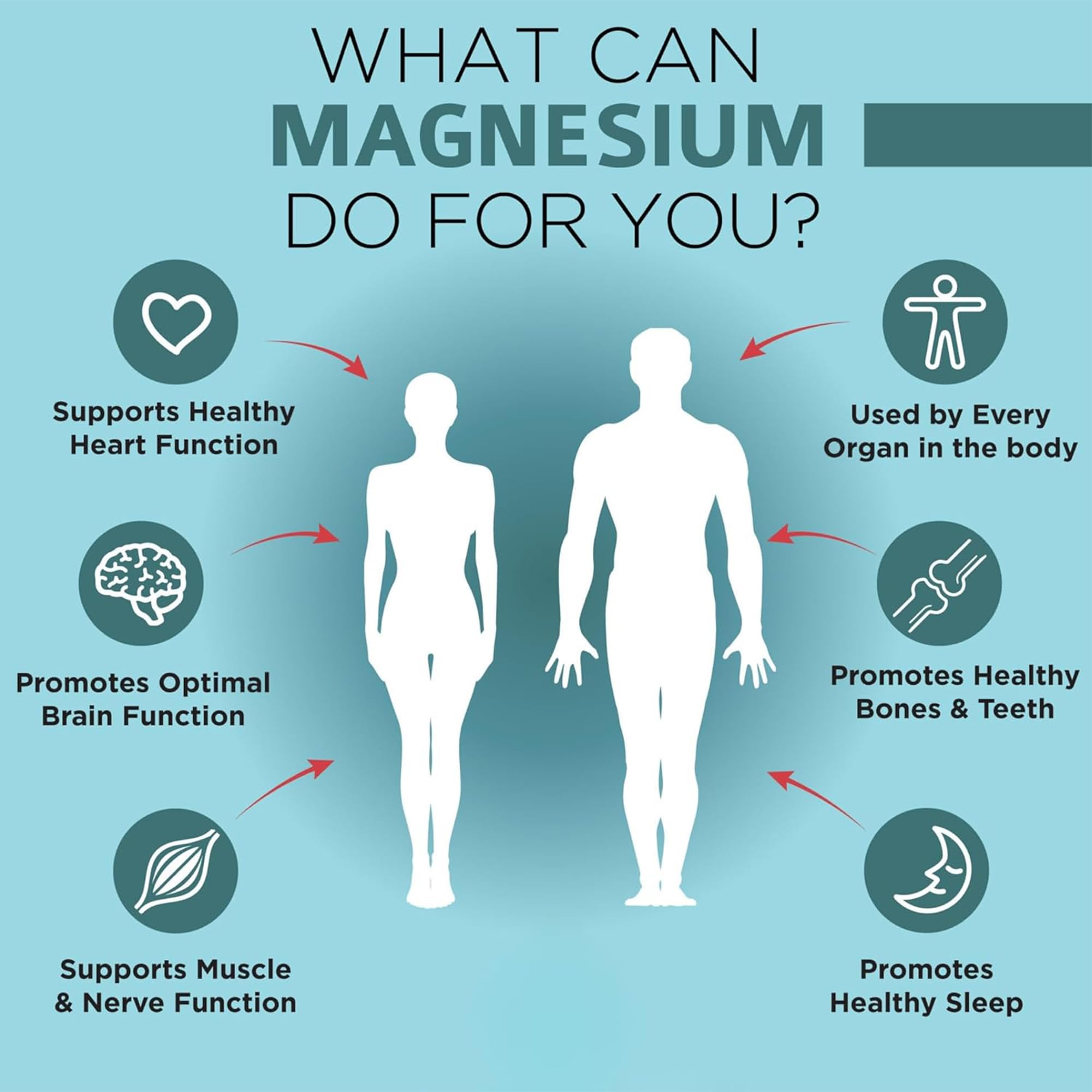 OmniBiotics Magnesium Glycinate Supplement – with 100% Pure Albion TRAACS Bisglycinate Chelate for Sleep, Muscle, Nerve & Heart Health – 120 Vegan Capsules OmniBiotics Au supplements