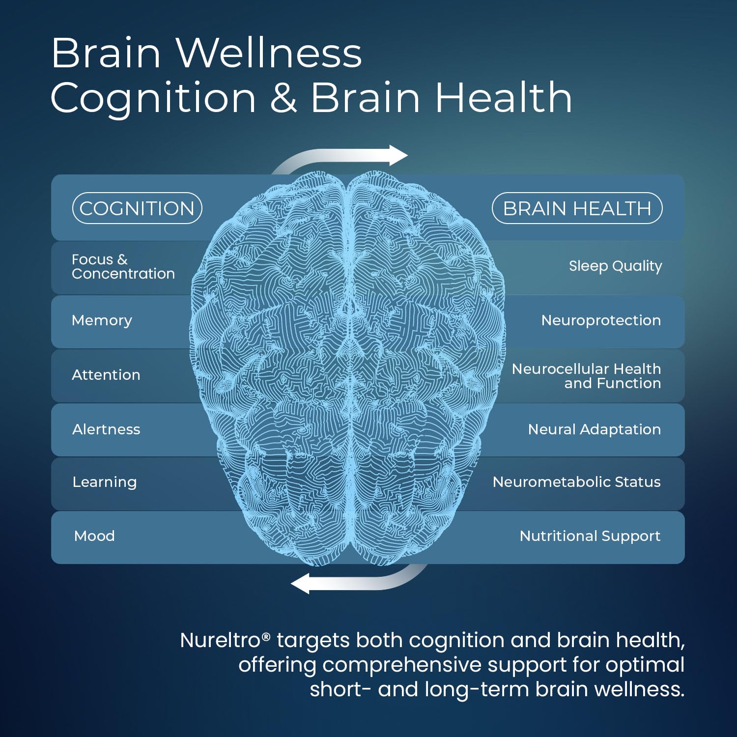 Nureltro All-in-One Nootropic Brain Supplement for Adults and Seniors w/Shoden® Ashwagandha | Supports Memory, Focus, Mood, Mental Clarity, and Brain Health - Caffeine-Free (120 Capsules) Nureltro Au supplements