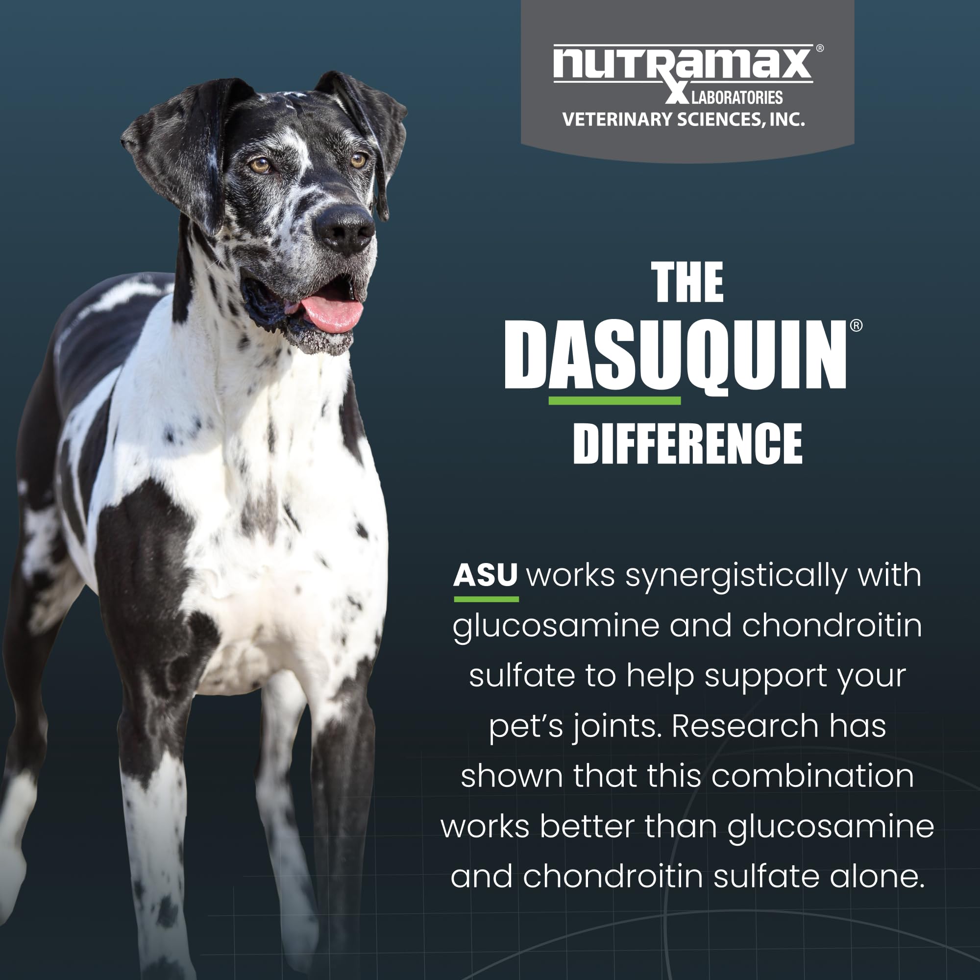 Nutramax Dasuquin for Large Dogs, Joint Health Supplement, Contains Glucosamine for Dogs, Plus Chondroitin, ASU, MSM and More, Supports Healthy Joints, Soft Chews, 150 Count Nutramax Laboratories Au supplements