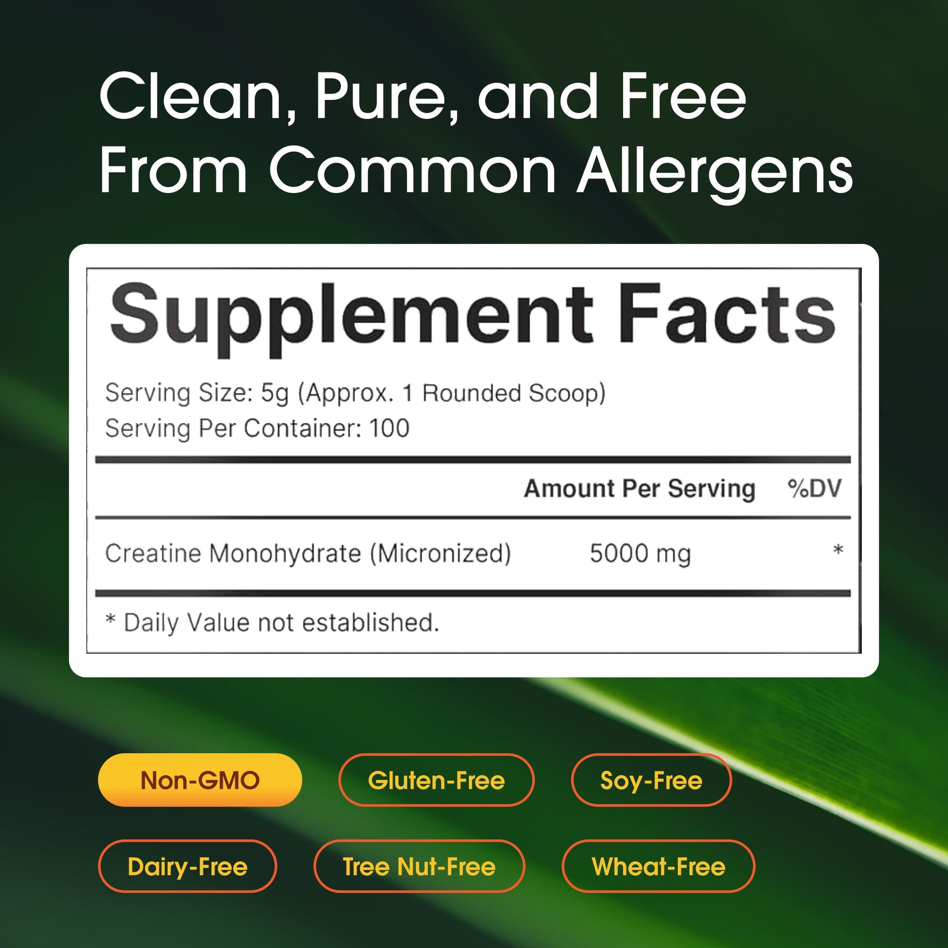 NatureBell Creatine Monohydrate Powder - 500g - Micronized Powder - Delivers 5,000mg Creatine Per Serving - Pre-Workout or Post-Workout Support* - Vegan & Keto Friendly - Unflavored NatureBell Au supplements