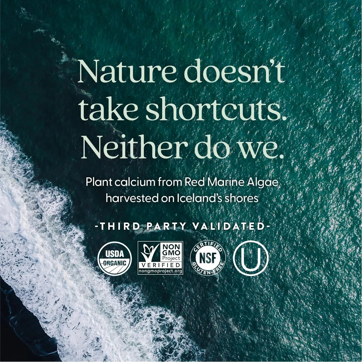 New Chapter Calcium Supplement - Bone Strength Plant-Based USDA Organic Calcium with Magnesium, Vitamin D3+K2 New Chapter Au supplements