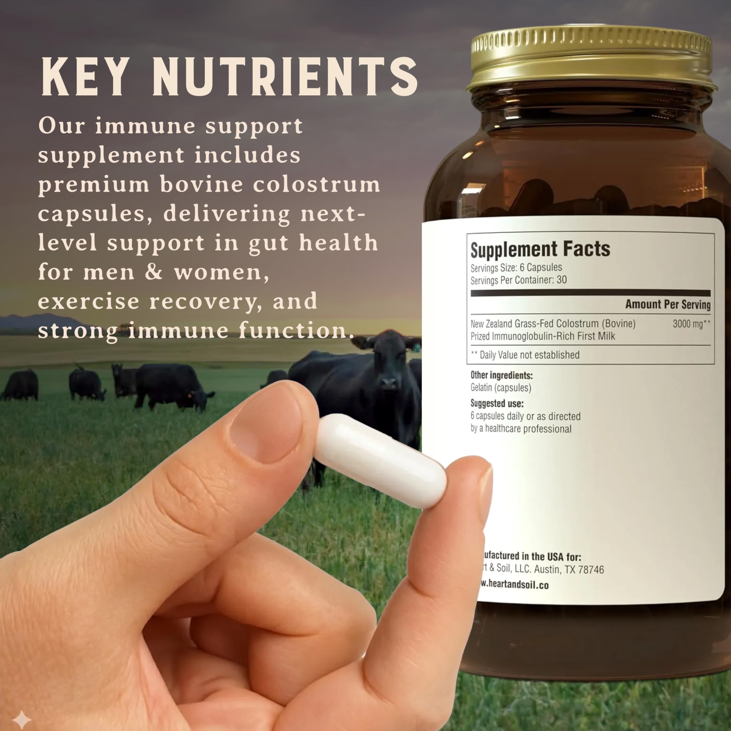 HEART & SOIL 100% Grass Fed & Finished Colostrum Supplement from Regenerative Cattle for Gut, Muscle & Immune Health – 3000mg Bovine Colostrum Capsules - Gut Health for Men & Women –180 Capsules HEART & SOIL Au supplements