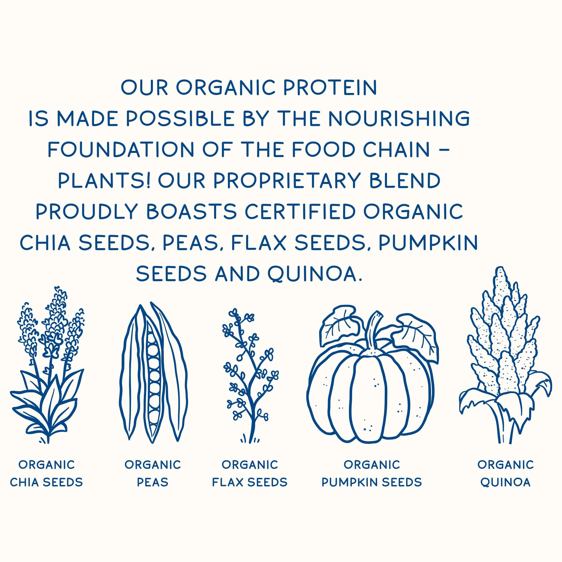 KOS Plant Based Protein Powder, Blueberry Muffin - Organic Pea Protein Superfood KOS Au supplements