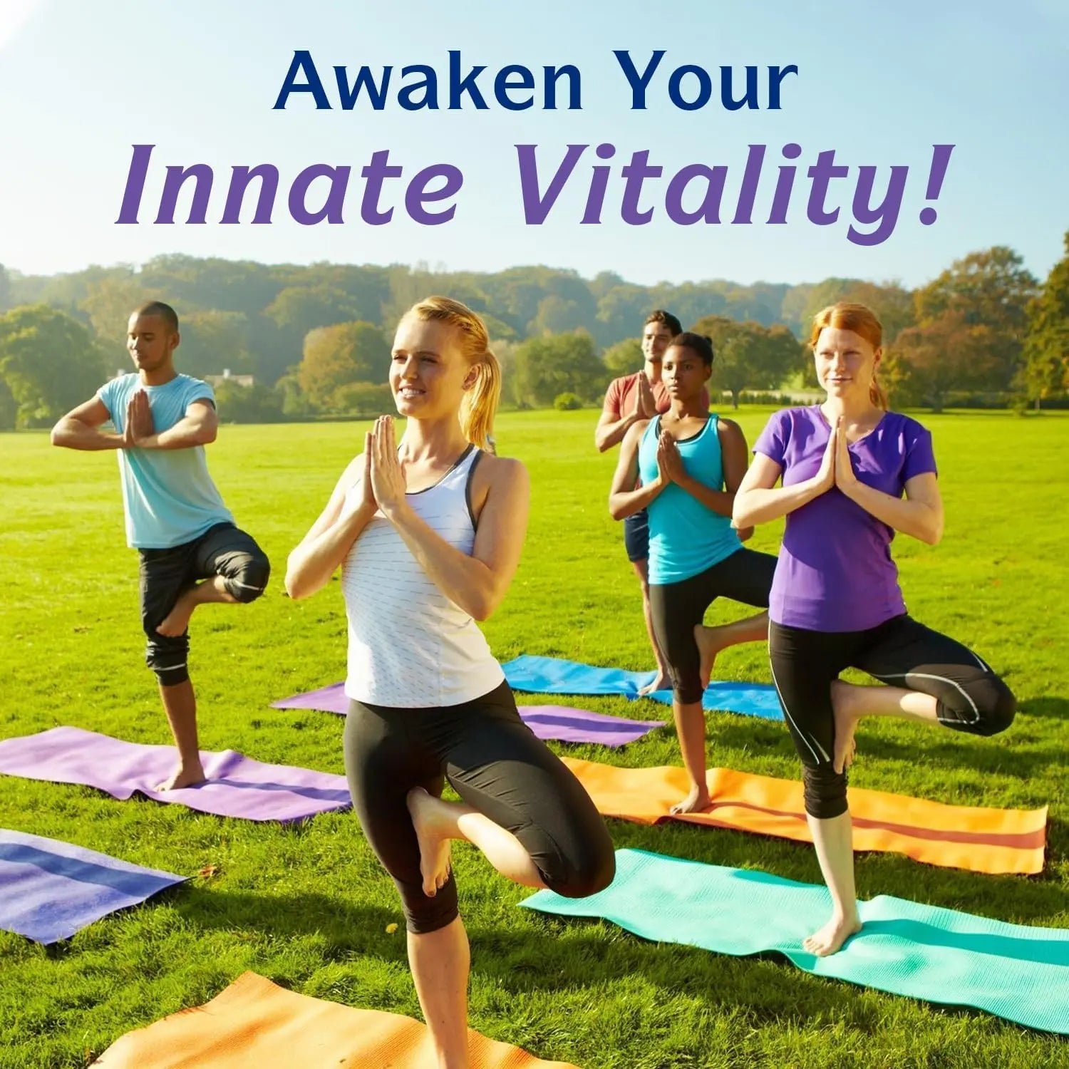Innate Vitality 12-in-1 Magnesium Complex, 500 mg Elemental Mag, with Magnesium Glycinate Malate Taurate Aspartate & More, Non-GMO, for Nerves, Sleep, Heart, Energy, 120 Veg Caps Innate Vitality Au supplements