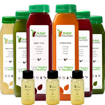 Raw Fountain 1 Day Juice Cleanse, All Natural Detox Cleanse, Cold Presssed Fruit Raw Fountain Au supplements