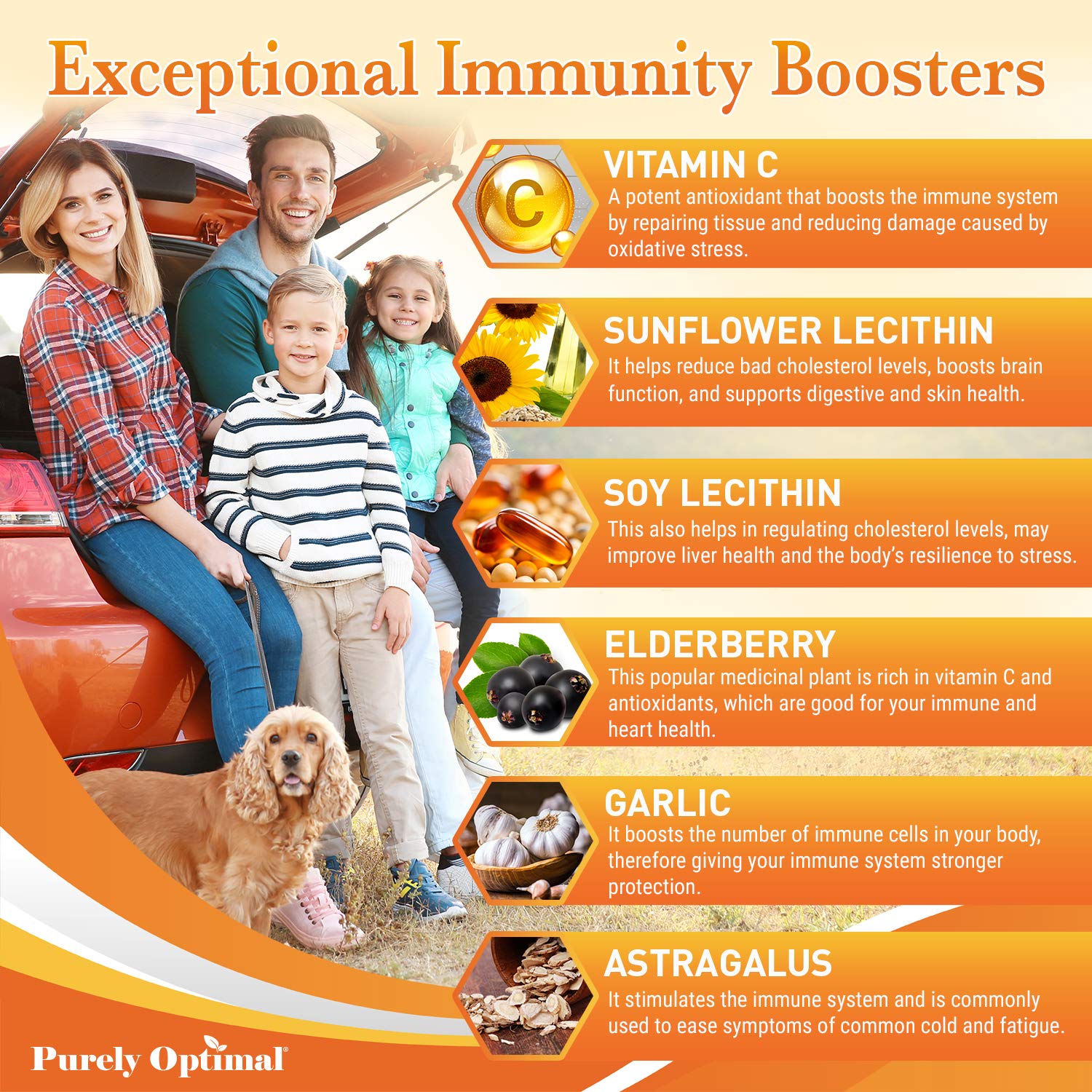 Premium Liposomal Vitamin C Supplement - High Absorption, Fat Soluble Ascorbic Acid Purely Optimal Au supplements