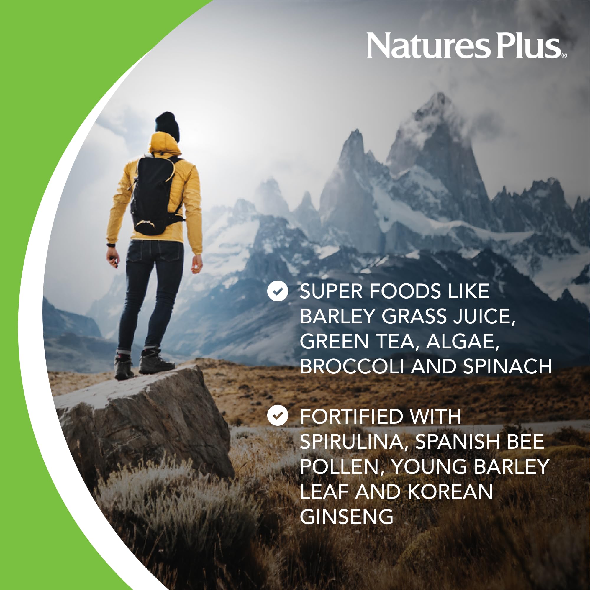 NaturesPlus FRUITEIN Revitalizing Green Foods Shake - 1.3 lbs - Plant-Based Protein (13g/Serving) - Supports Energy & Immune System - Vegetarian, Gluten Free & Non-GMO - 16 Servings NaturesPlus Au supplements