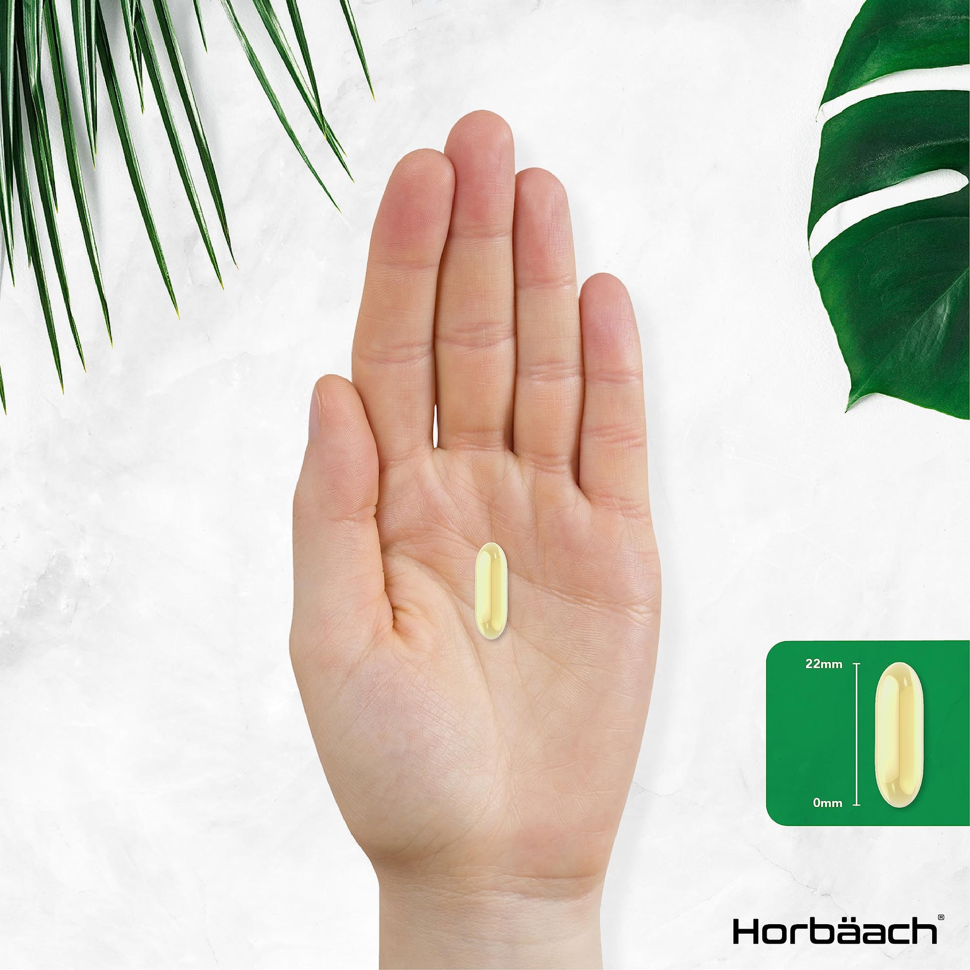 Vitamin E Capsules 1000iu | 200 Count | High Strength Vitamin E as DL-Alpha Tocopheryl Horbäach Au supplements