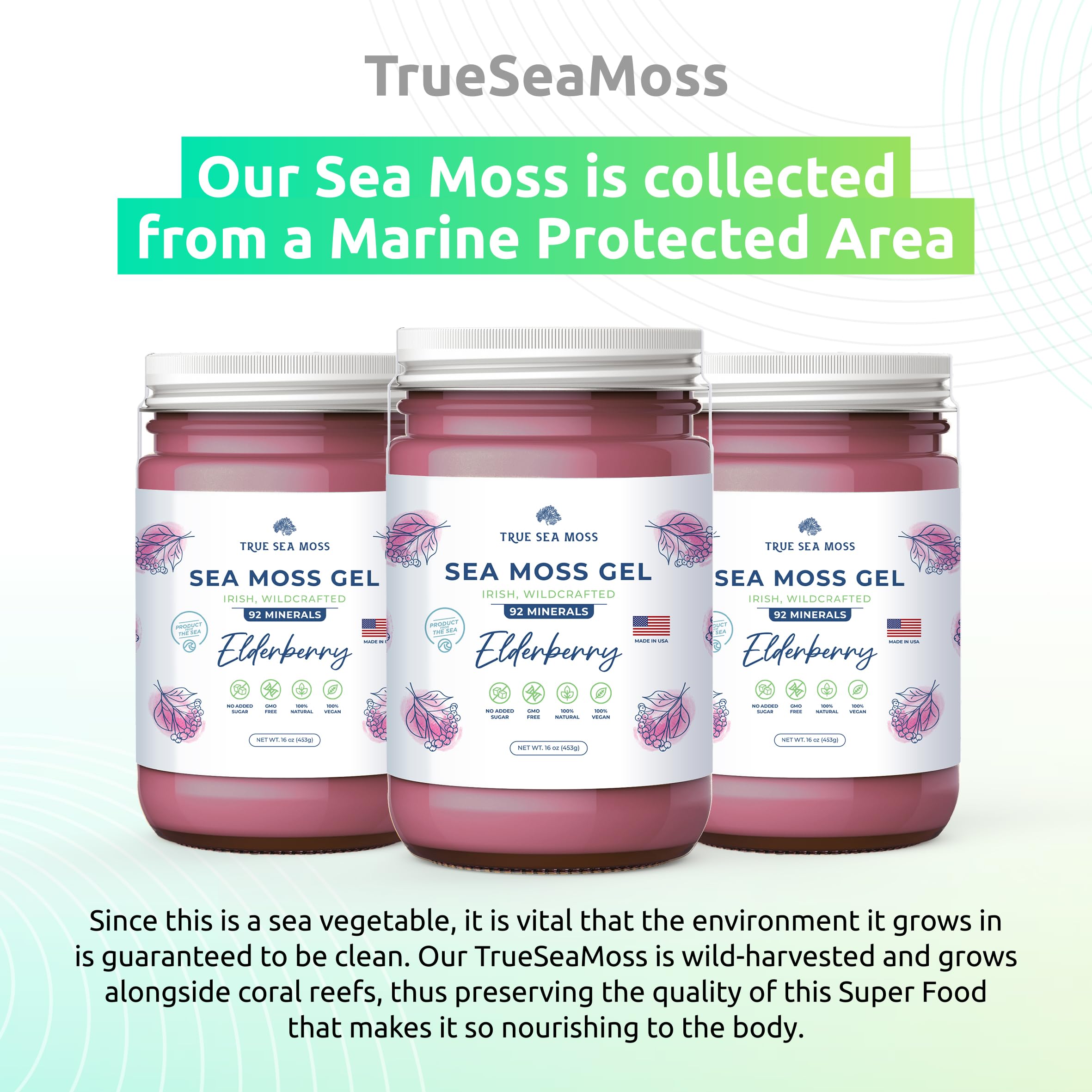 TrueSeaMoss Wildcrafted Irish Sea Moss Gel – Nutritious Organic Raw Seamoss Rich TrueSeaMoss Au supplements