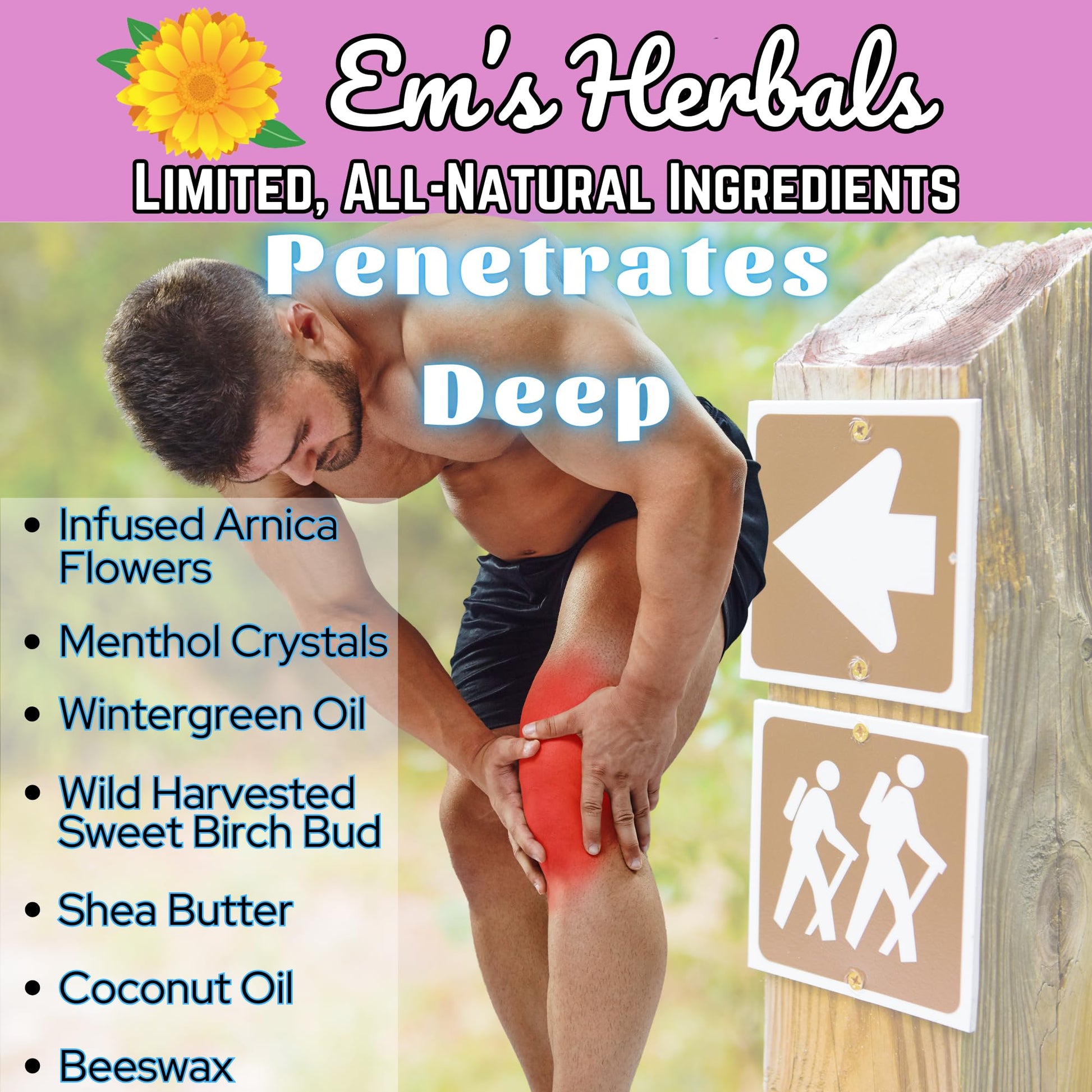 Em's Herbals, Muscle & Joint Care Arnica Salve - Amplified Arnica Salve Made with Menthol Crystals, and Effective Essential Oils to Penetrate Deep into Muscles, Joints, and Back Discomfort (2 oz) Em's Herbals Au supplements