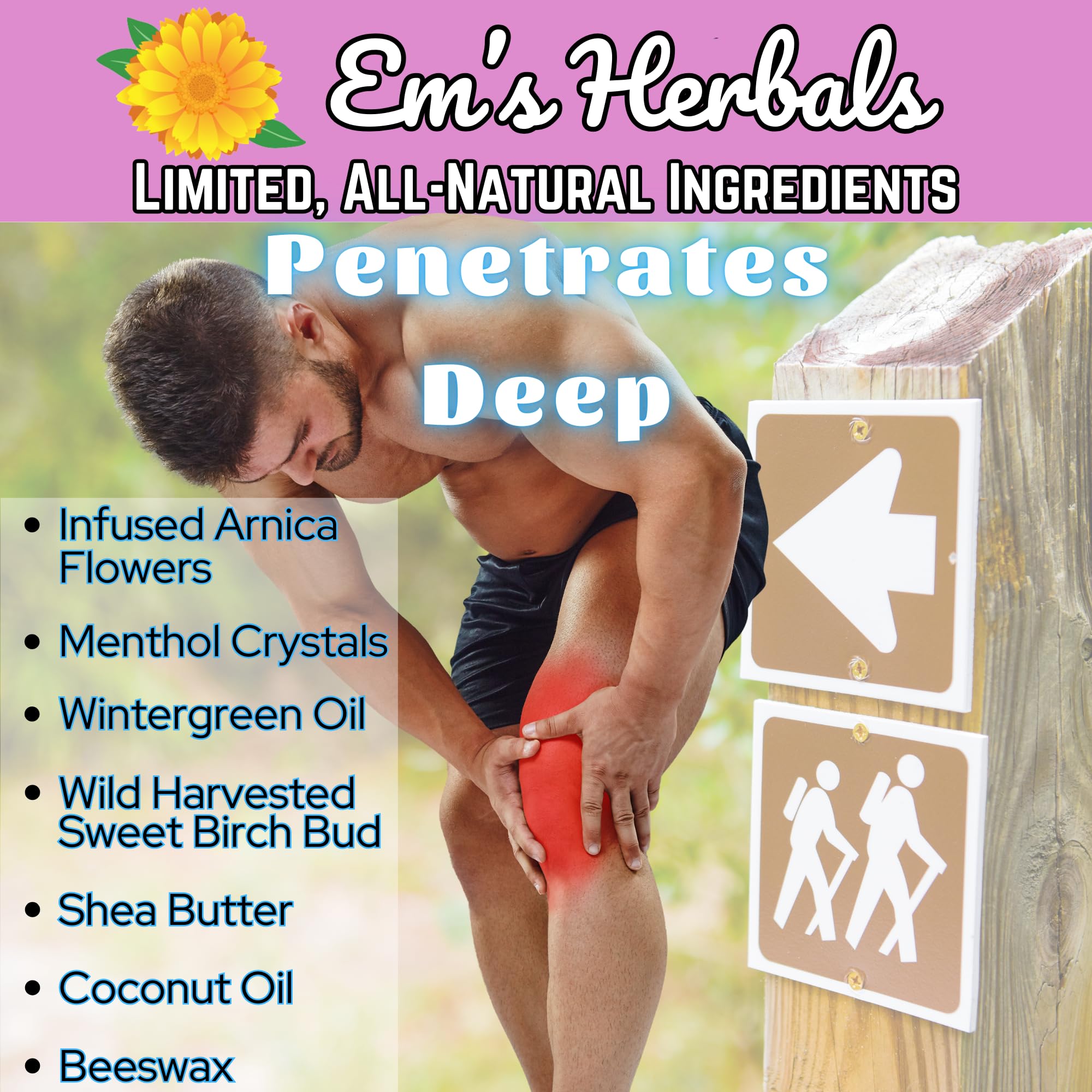 Em's Herbals, Muscle & Joint Care Arnica Salve - Amplified Arnica Salve Made with Menthol Crystals, and Effective Essential Oils to Penetrate Deep into Muscles, Joints, and Back Discomfort (2 oz) Em's Herbals Au supplements