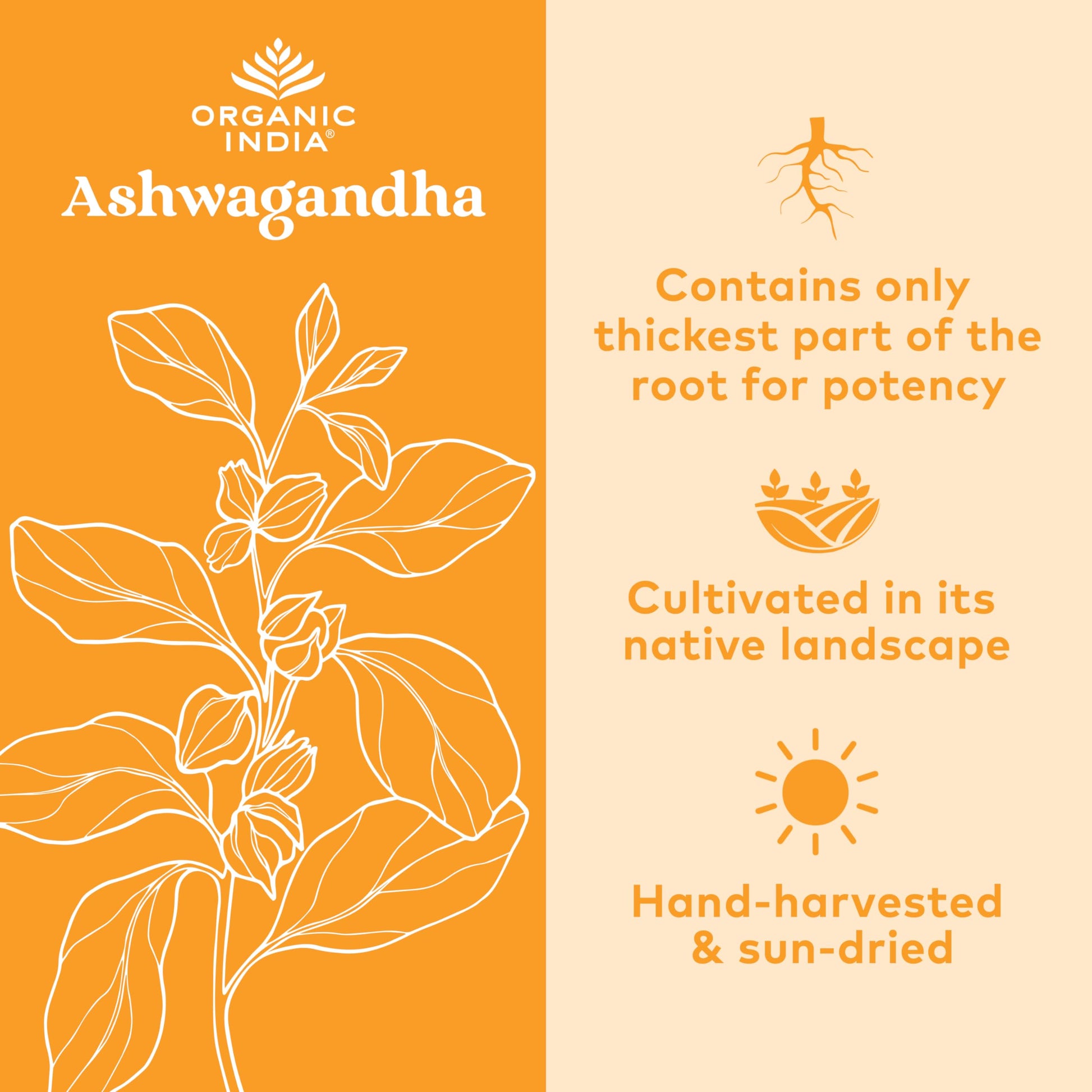 Organic India Ashwagandha Herbal Supplement - Stress Response Support, Vegan, Gluten Organic India Au supplements