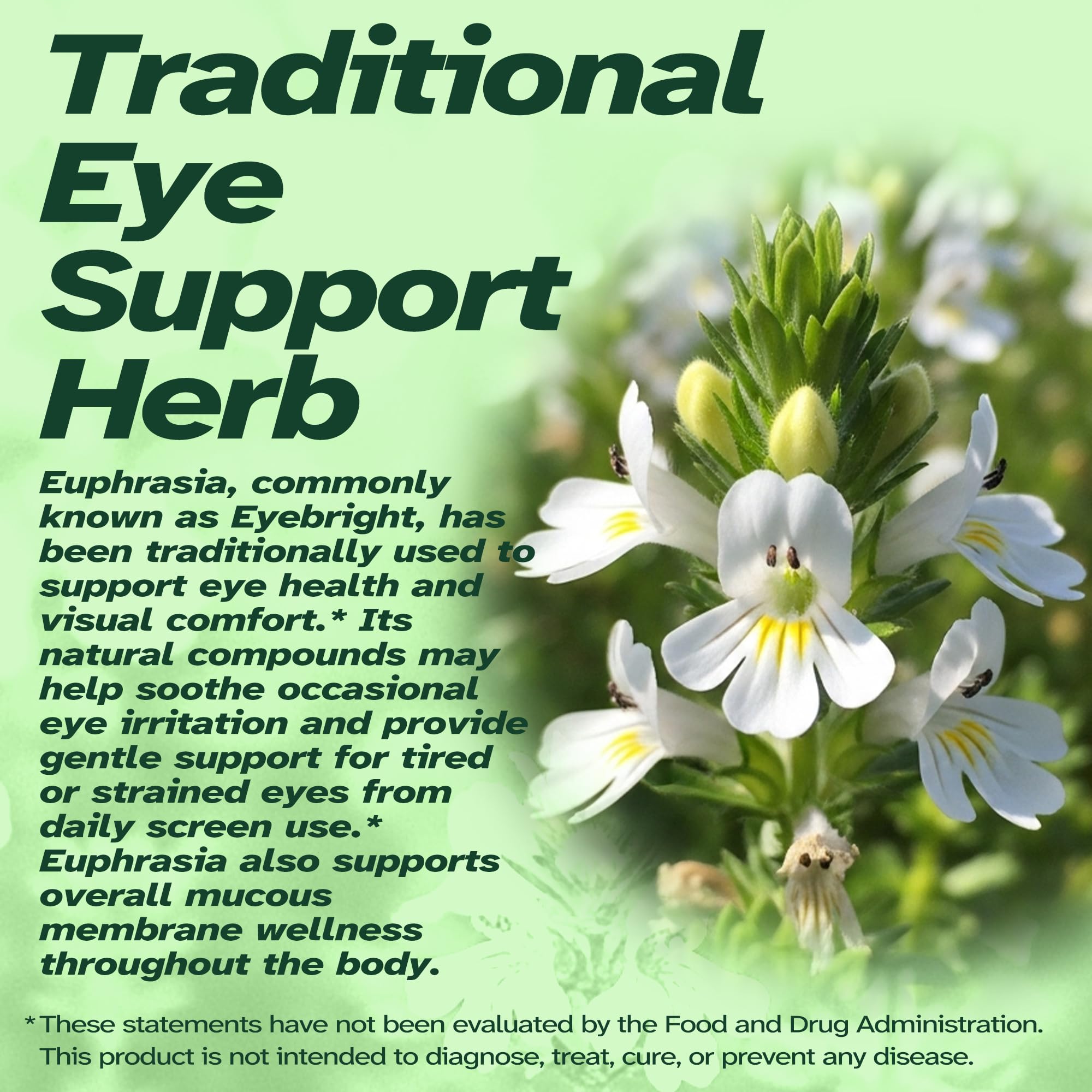 Vitalumina Eyebright Herbal Liquid with Organic Euphrasia, Lutein, Bilberry, Blueberry & Goji – Plant-Based Vegan Supplement for Adults – 4 fl oz Vitalumina Au supplements