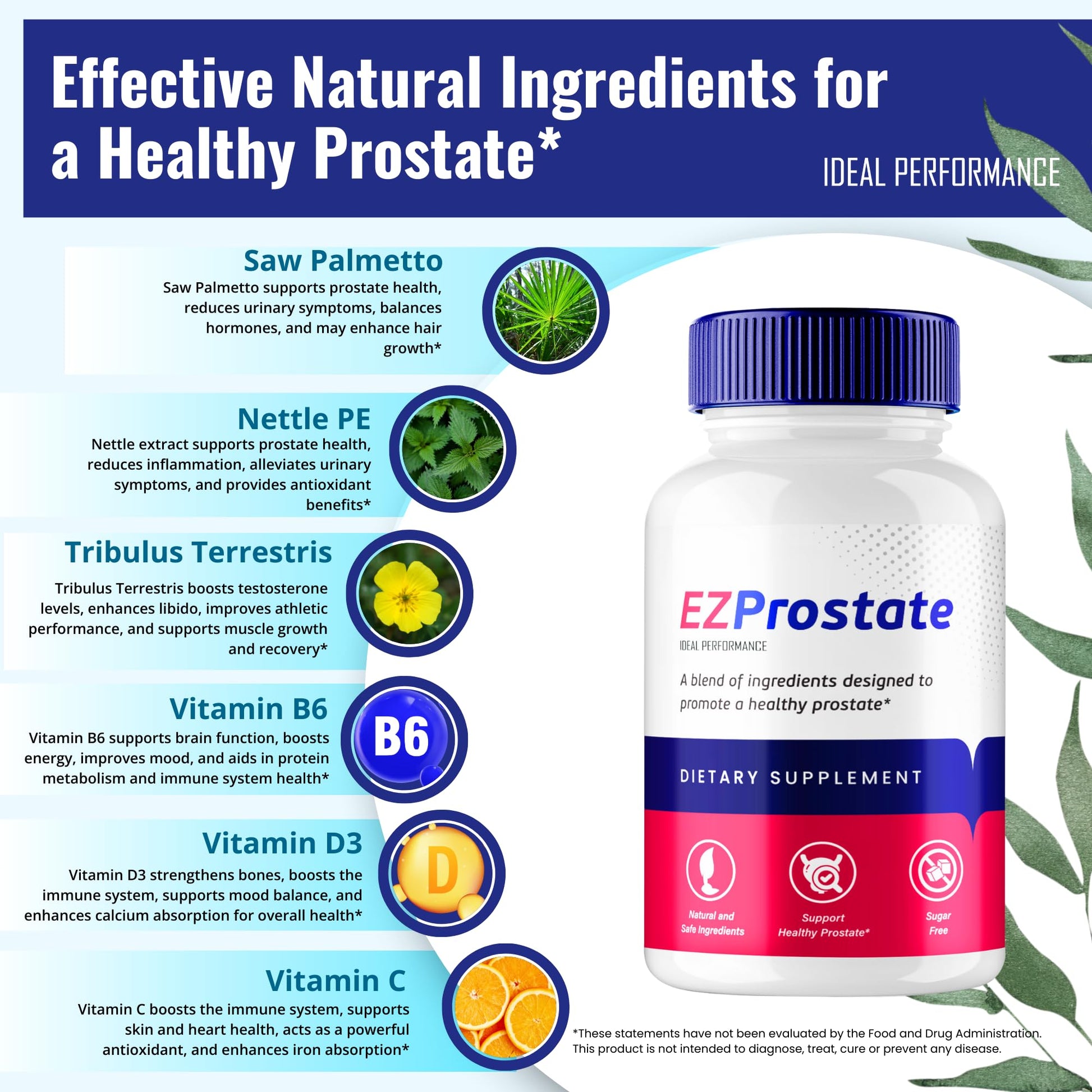 EZ Prostate Capsules, EZ Prostate Pills - Official EZ Prostate Supplement Pills - Maximum Strength Advanced All Natural Formula, EZProstate Health Men Pastillas Reviews (2 Pack) IDEAL PERFORMANCE Au supplements
