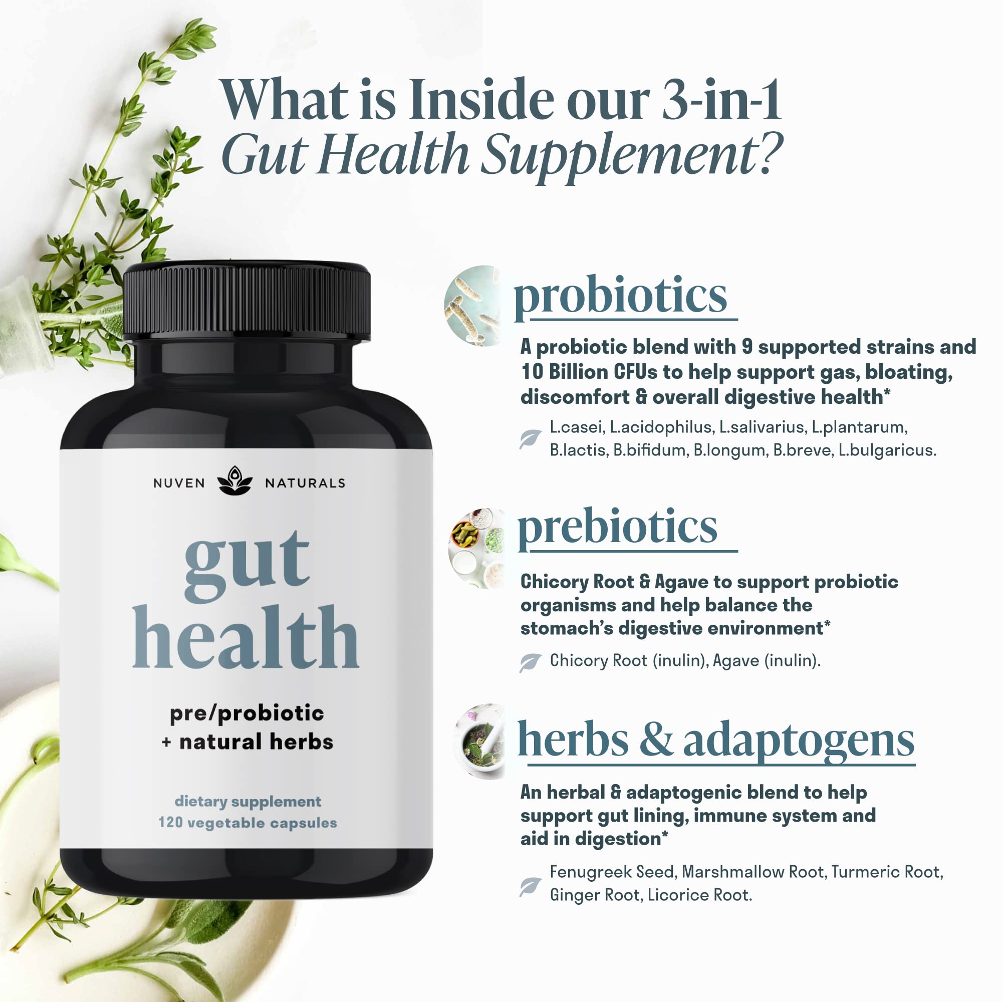 Nuven Naturals All-in-One Gut Health w/Probiotics, Prebiotics, Digestion-Supporting Nuven Naturals Au supplements