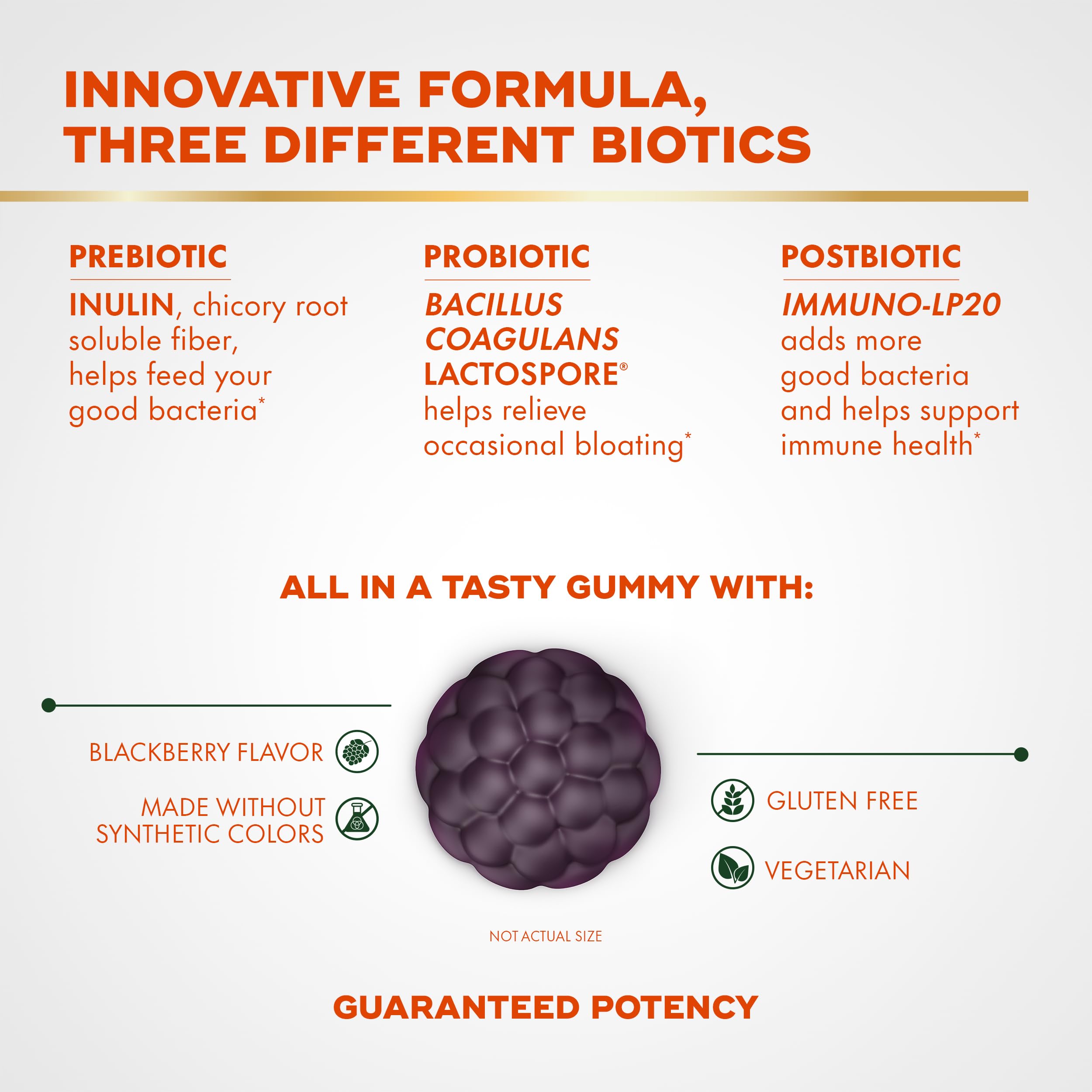 Align Probiotic, 3-in-1 Biotic Gummies, Prebiotic + Probiotic + Postbiotic, #1 Doctor Recommended Probiotic Brand‡, Helps Relieve Occasional Bloating*, BlackBerry Flavor, 50 Gummies Align Au supplements