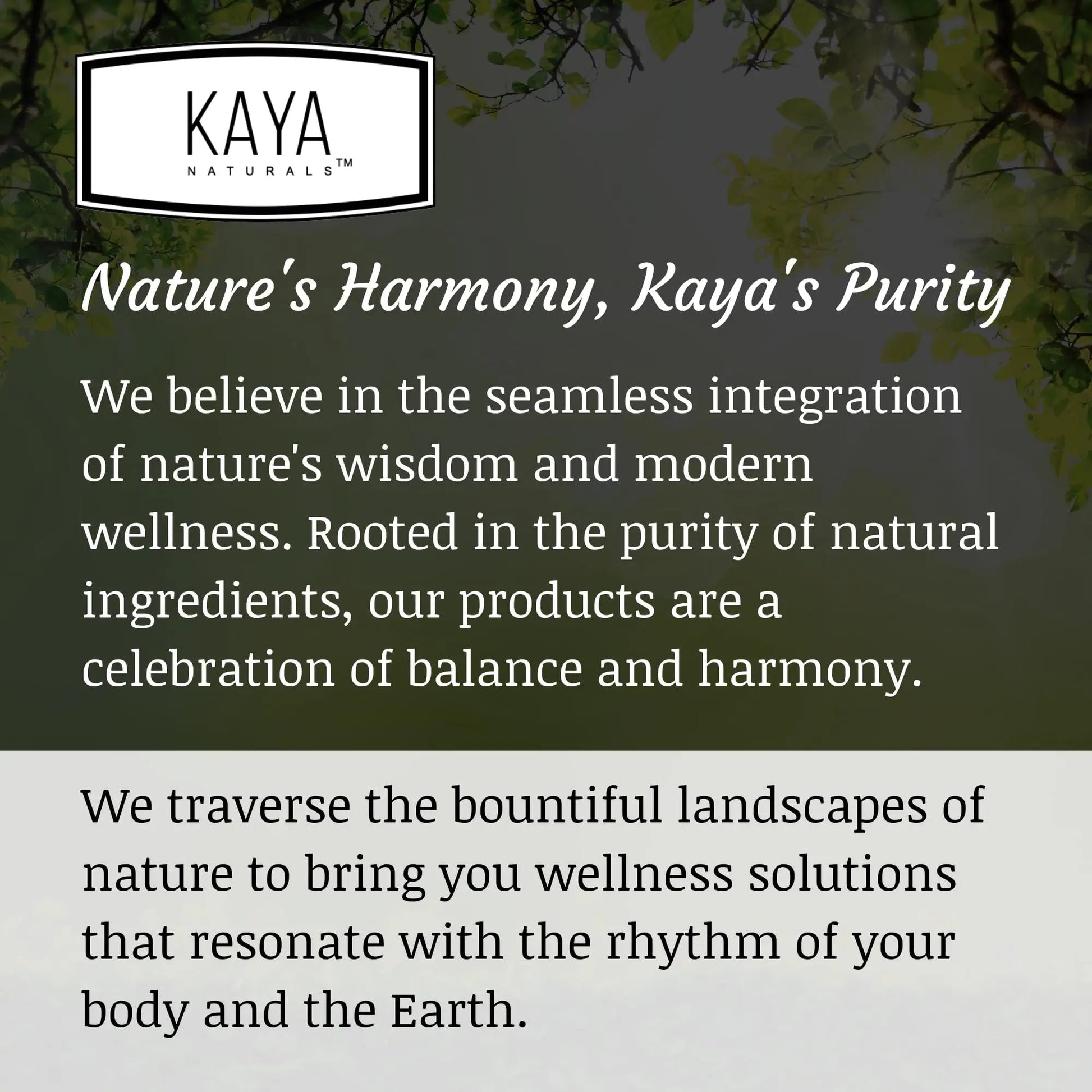 Kaya Naturals Adult Multi Vitamin Gummy, 120 Count, Biotin, Vitamin A, B-12, C & E, Including Zinc, Folic Acid, Strawberry Flavor (120 Gummies) Kaya Naturals Au supplements