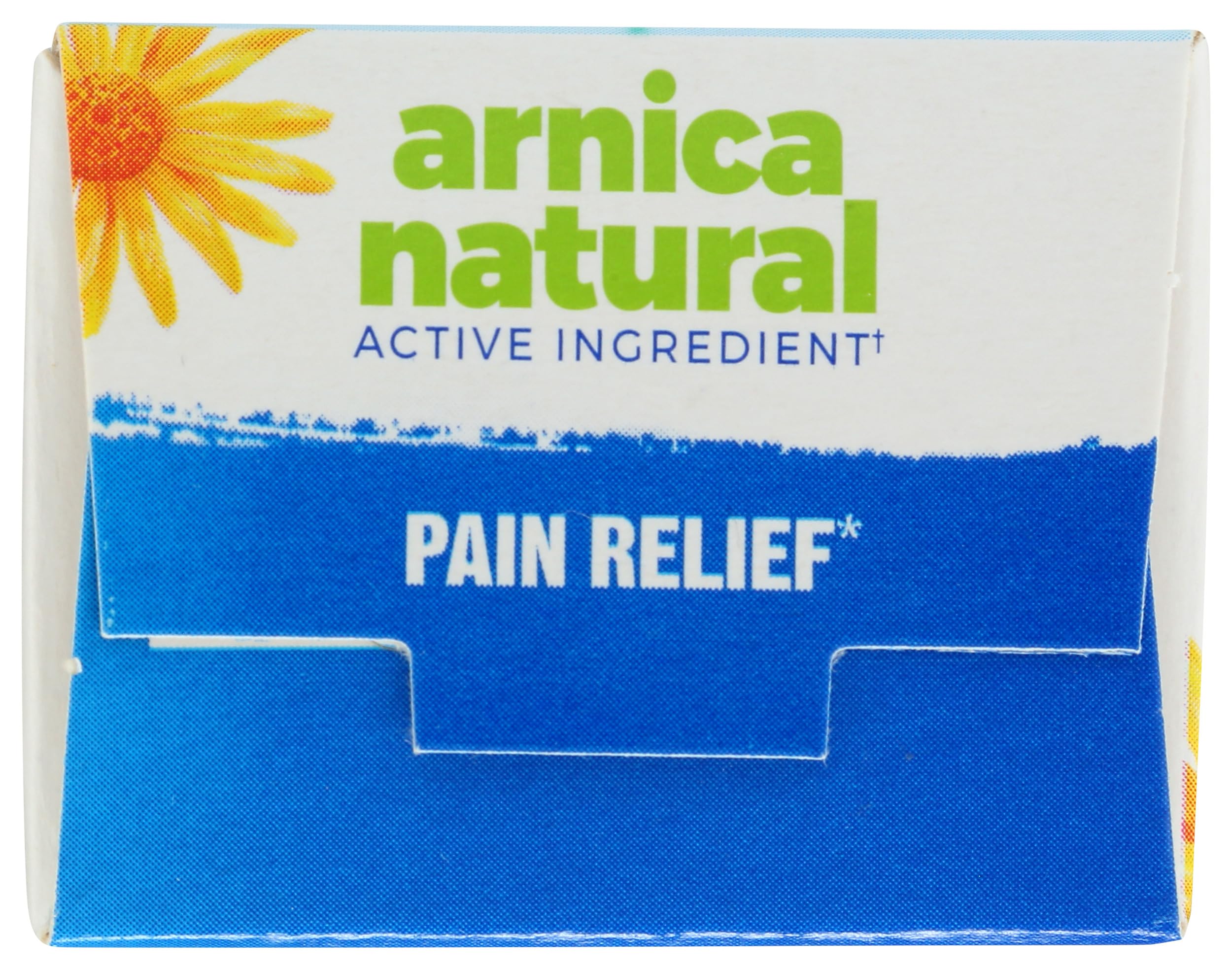 Boiron Arnicare Cream, Homeopathic Medicine for Pain Relief, 1.3 Ounce (Pack of 1) Boiron Au supplements