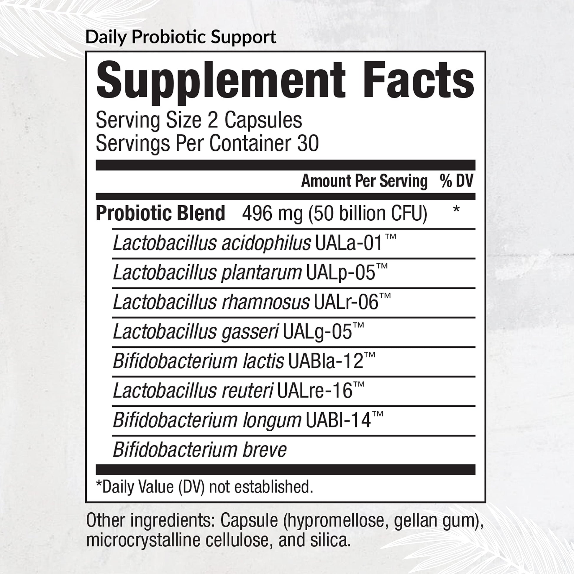 Equilife Daily Probiotic Support, 50 Billion CFU, 8 Probiotic Strains, Digestive and Gut Health Supplement for Men and Women, Gluten Free, Soy and Dairy Free, Non GMO, American Made, 60 Capsules Equilife Au supplements