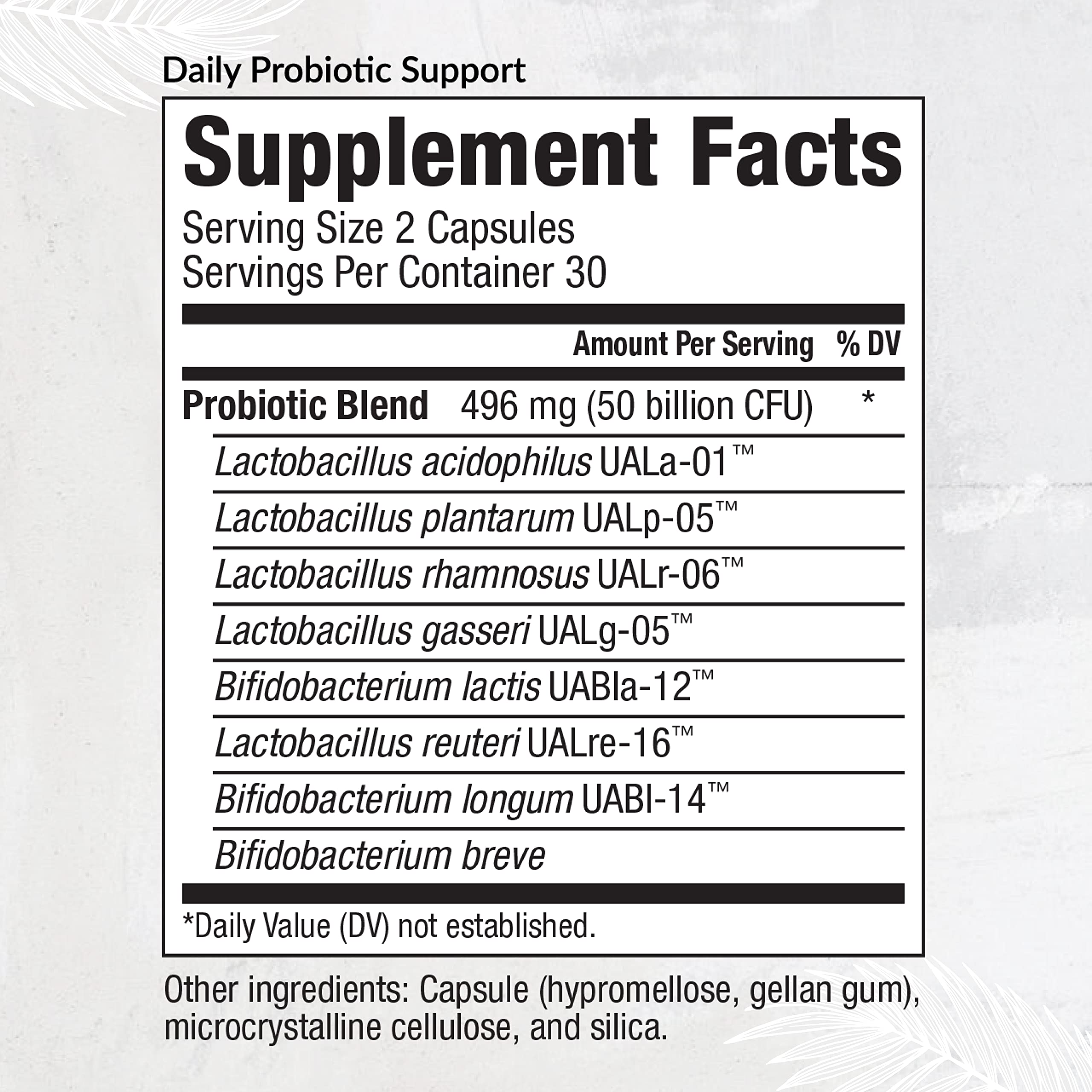Equilife Daily Probiotic Support, 50 Billion CFU, 8 Probiotic Strains, Digestive and Gut Health Supplement for Men and Women, Gluten Free, Soy and Dairy Free, Non GMO, American Made, 60 Capsules Equilife Au supplements