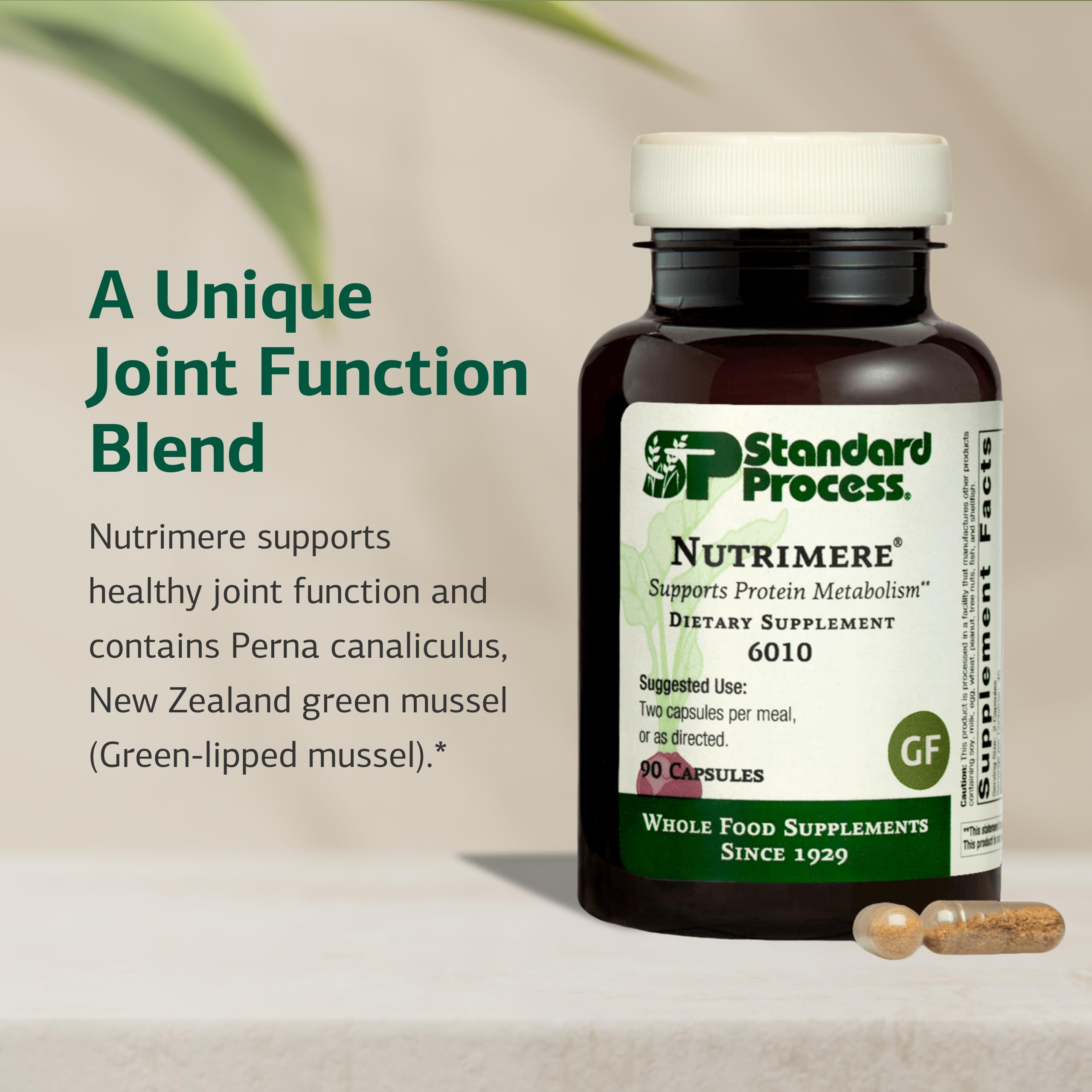 Standard Process Nutrimere - Supports Joint Health - Joint Supplement with Perna Canaliculus & New Zealand Green Mussel - Gluten-Free, Non-Soy & Non-Dairy - 90 Capsules Standard Process Inc. Au supplements