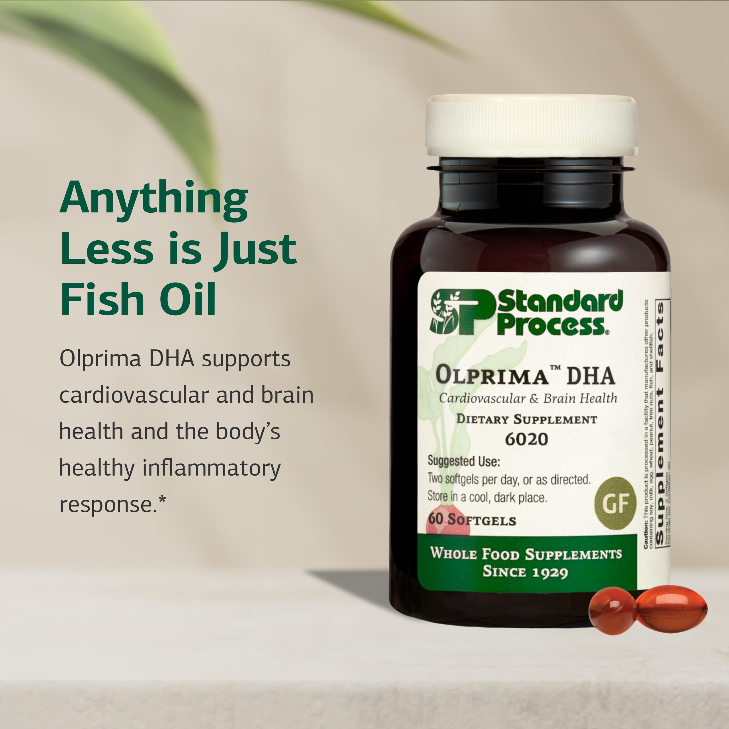 Standard Process Olprima DHA - Omega-3 Supplement for Heart & Brain Health - Gluten-Free, Non-Dairy & Non-Soy - 60 Softgels (30 Servings) Standard Process Inc. Au supplements