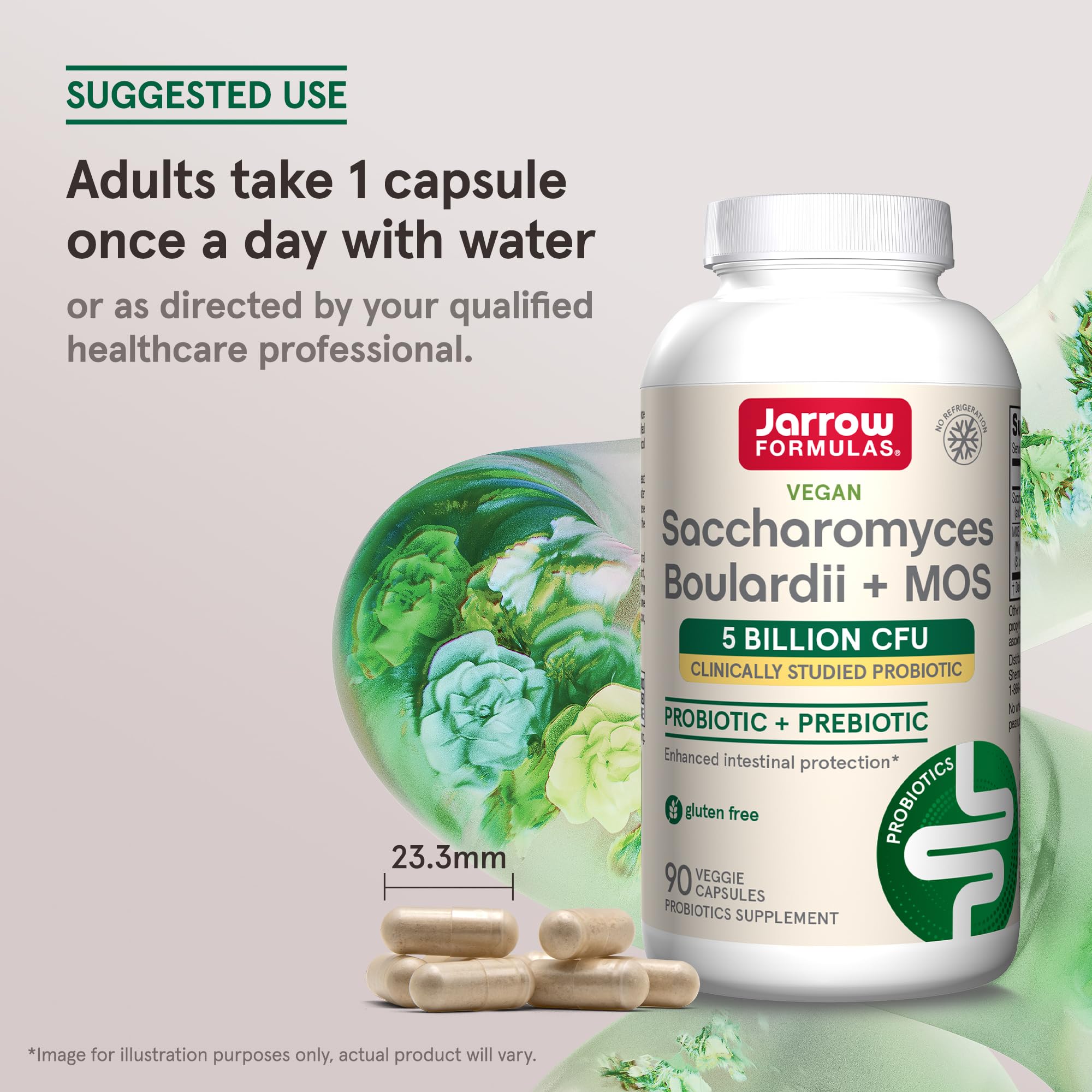 Jarrow Formulas Saccharomyces Boulardii + MOS Probiotics for Digestive Health and Intestinal Tract Support - 5 Billion CFU Per Serving - 90 Delayed Release Caps - Probiotic + Prebiotic - 90 Servings Jarrow Formulas Au supplements